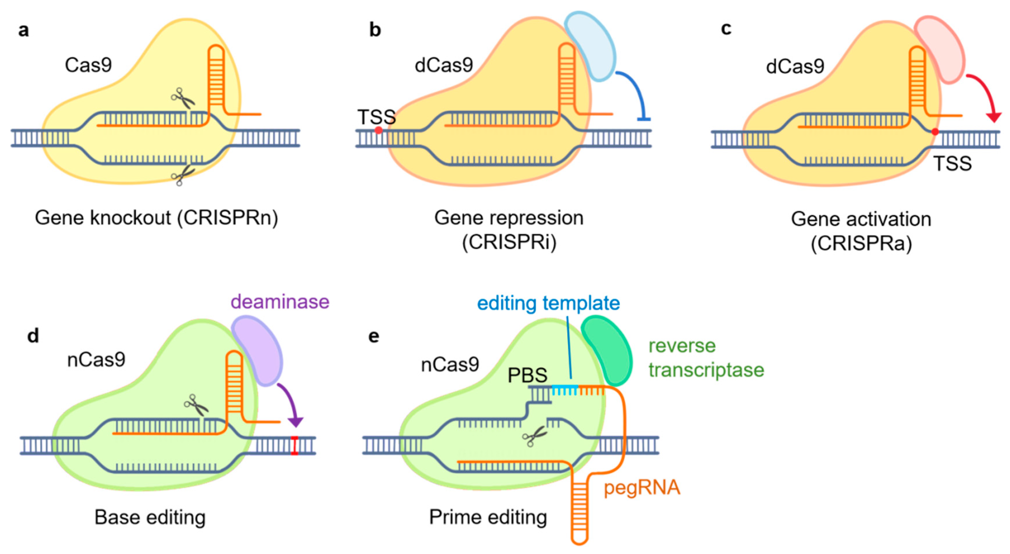 Preprints 103521 g001