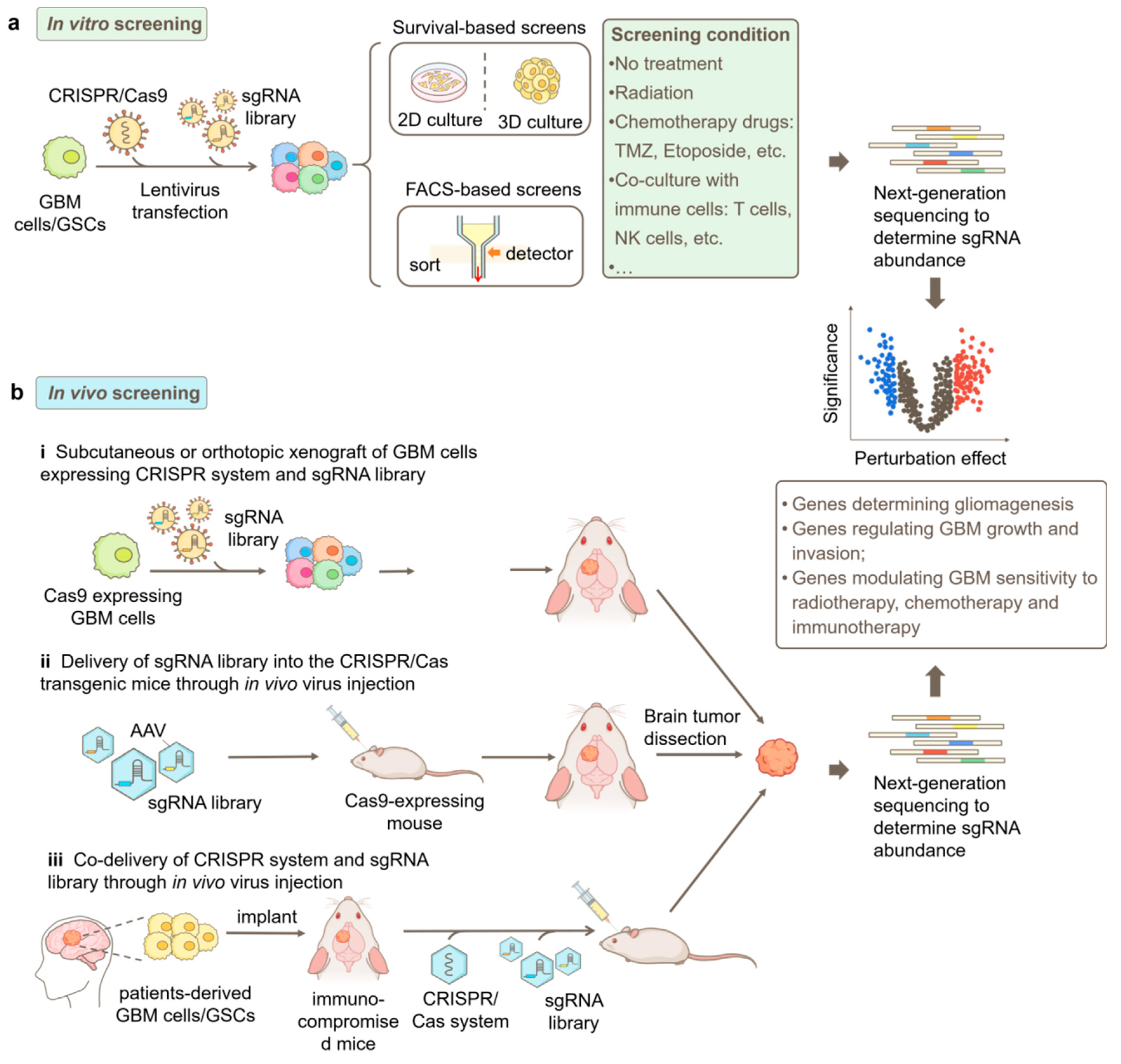 Preprints 103521 g002