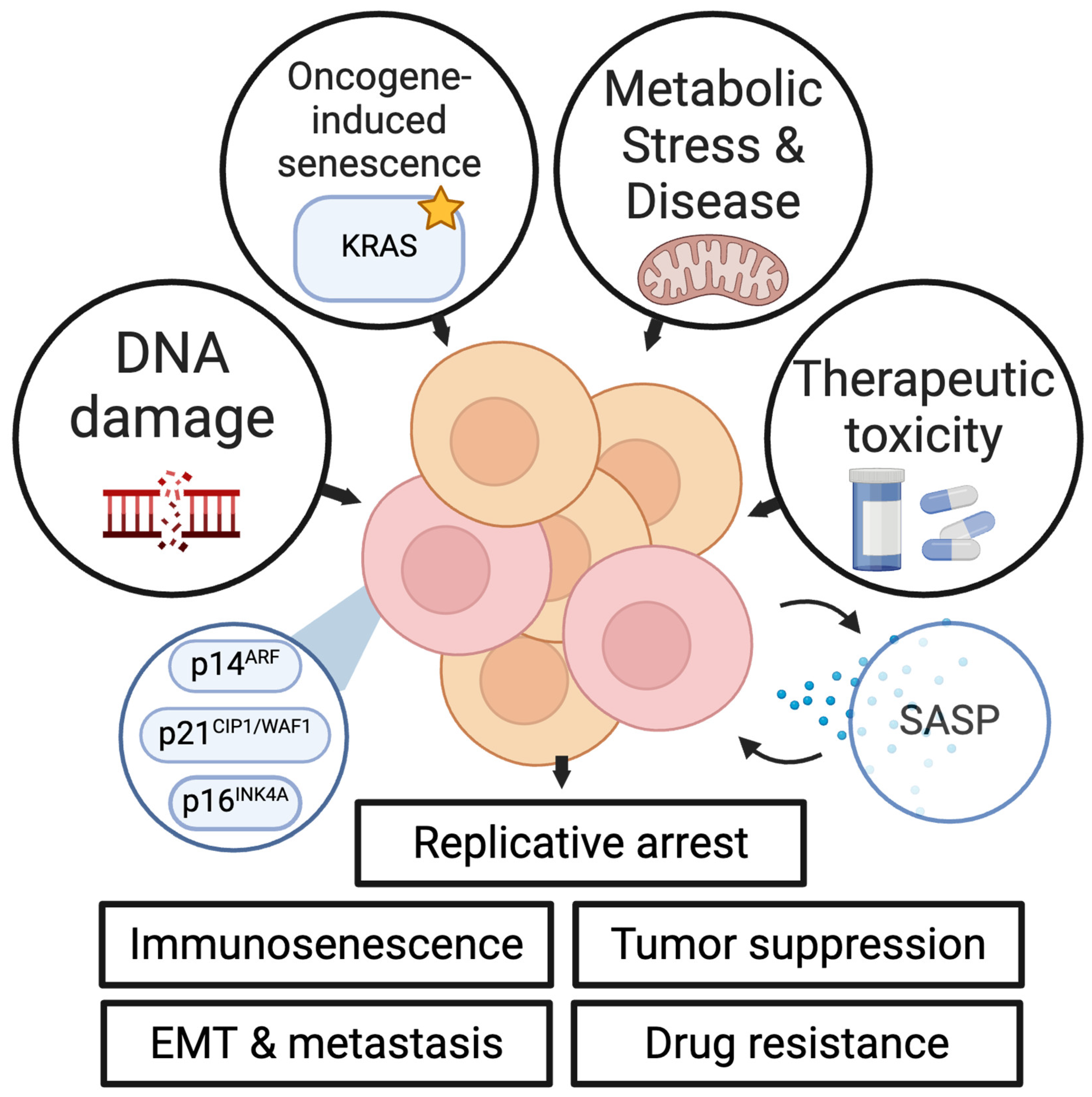 Preprints 108598 g001