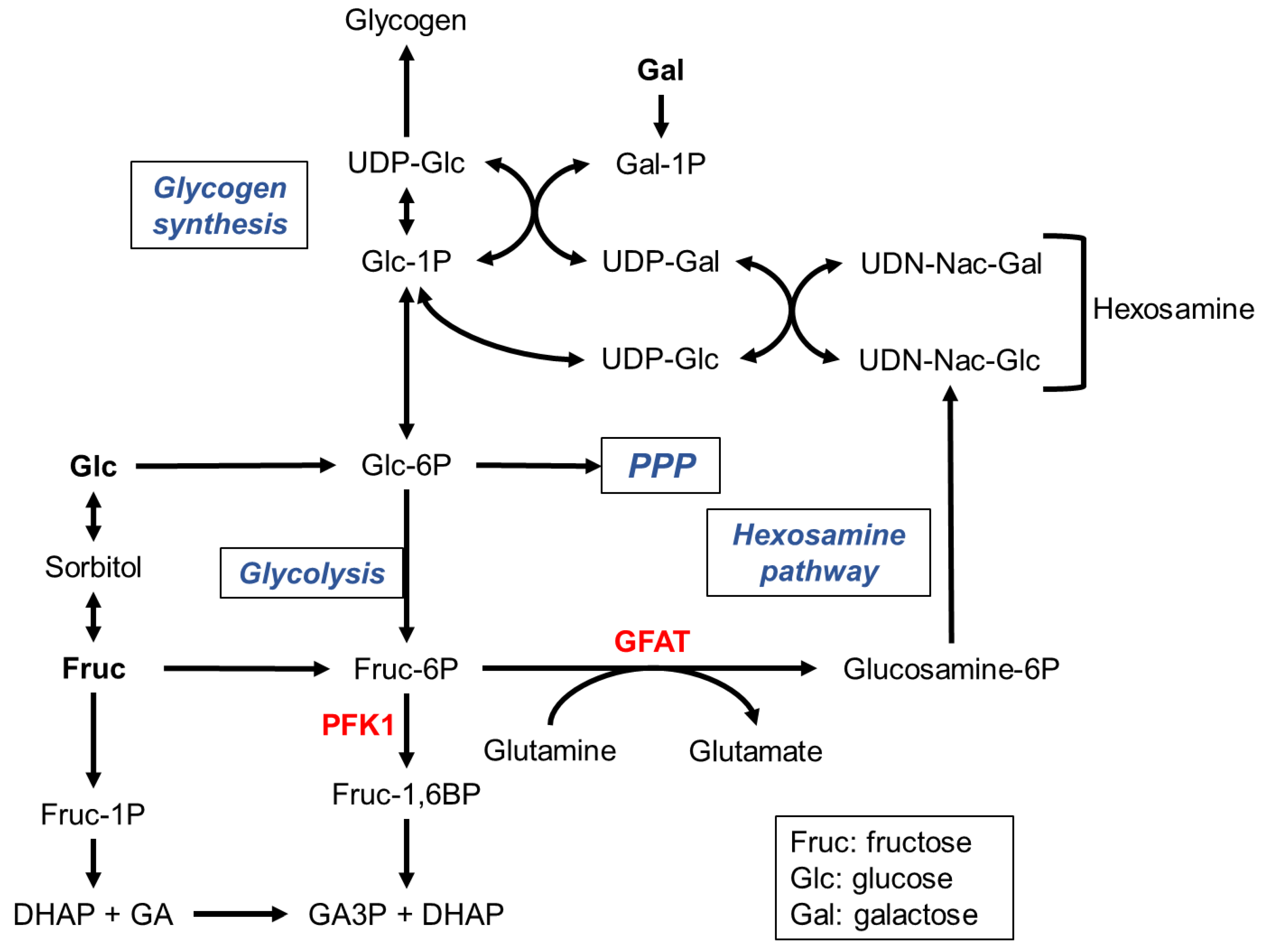 Preprints 110198 g001