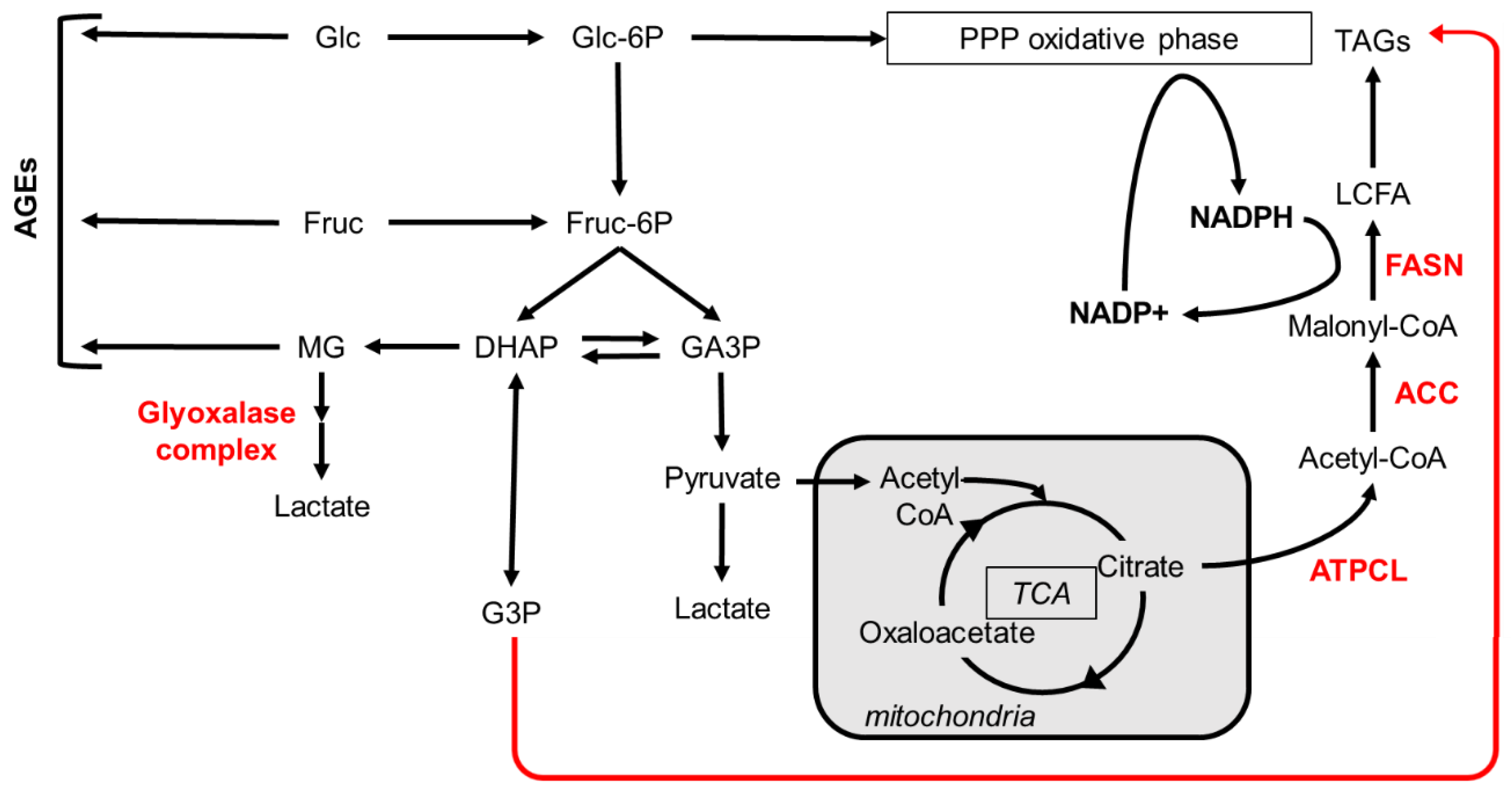 Preprints 110198 g002