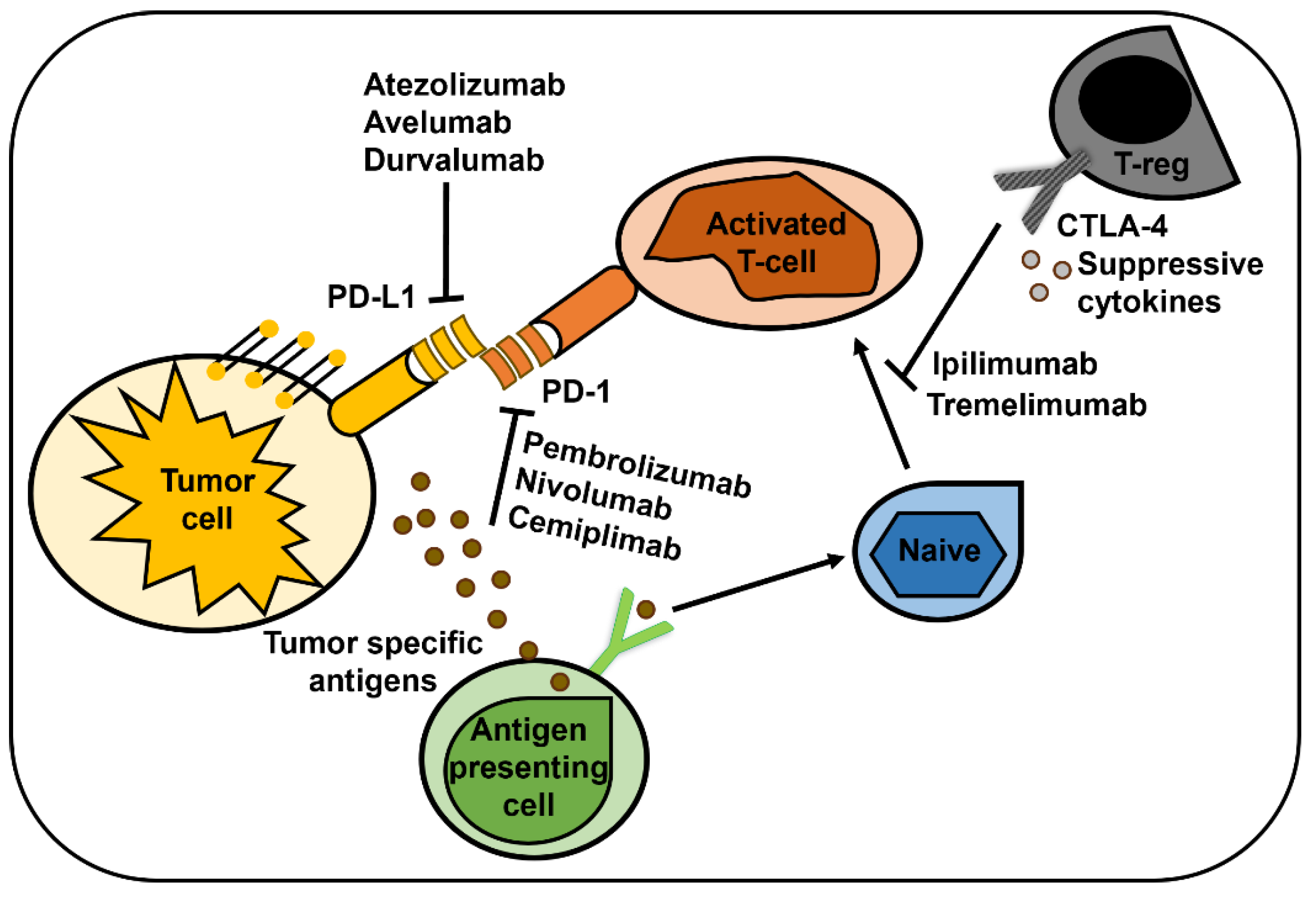 Preprints 115141 g003