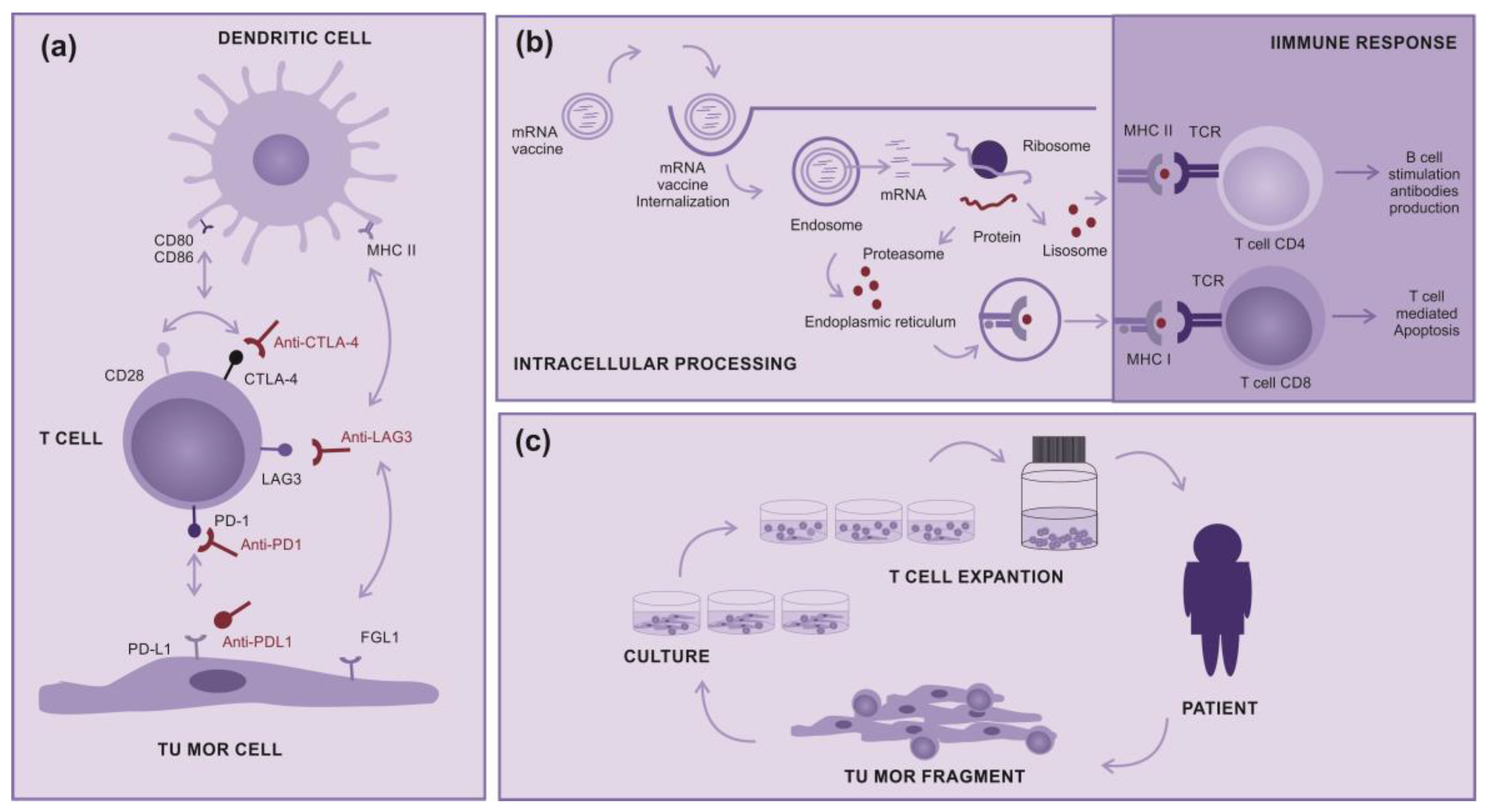 Preprints 88242 g001