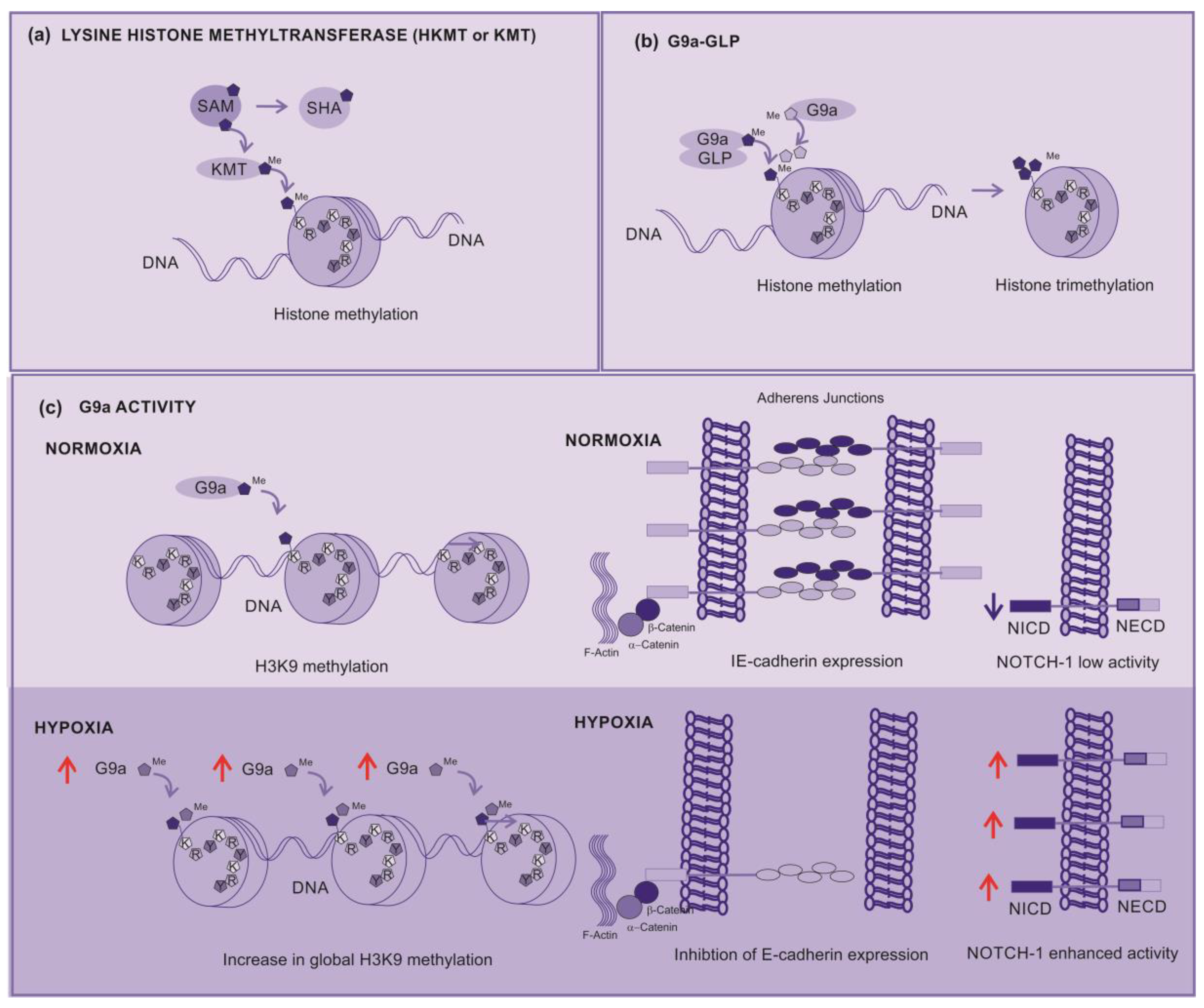 Preprints 88242 g004