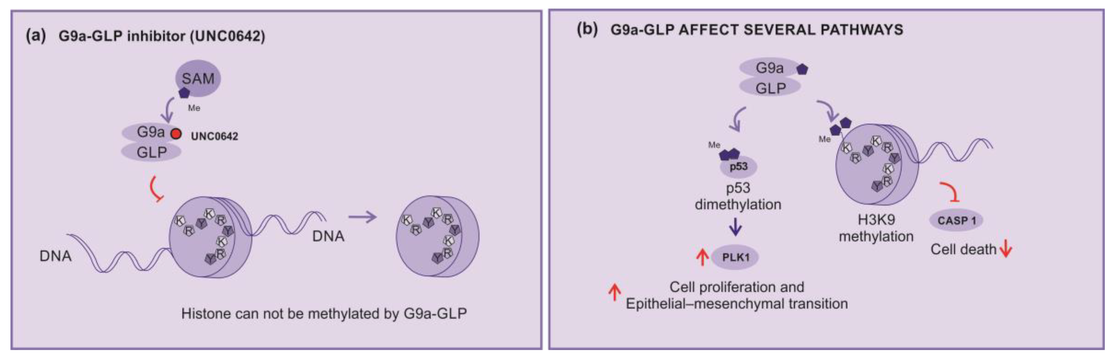 Preprints 88242 g005