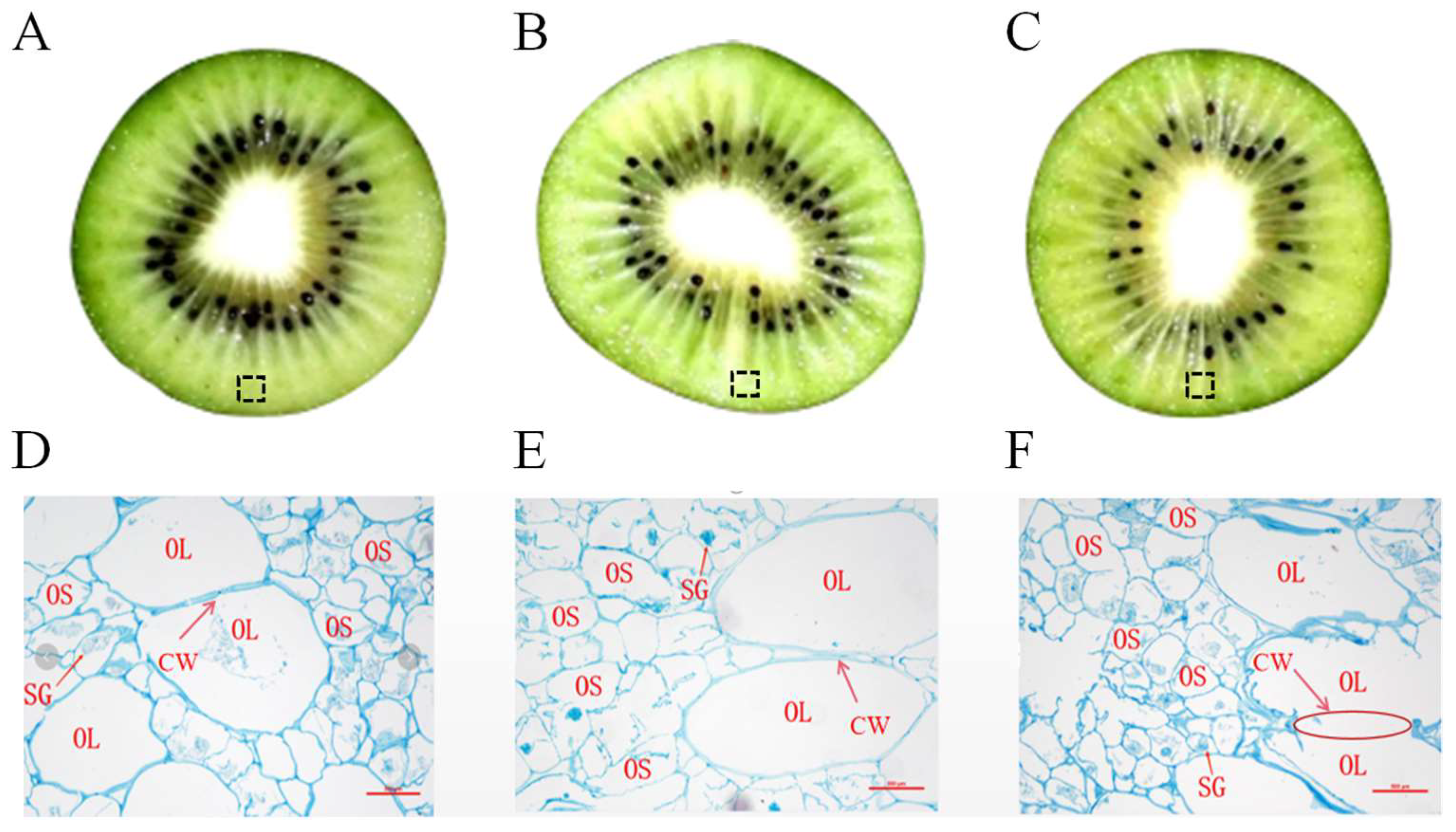 Preprints 83041 g003