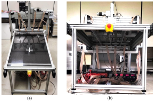 Preprints 110274 g001