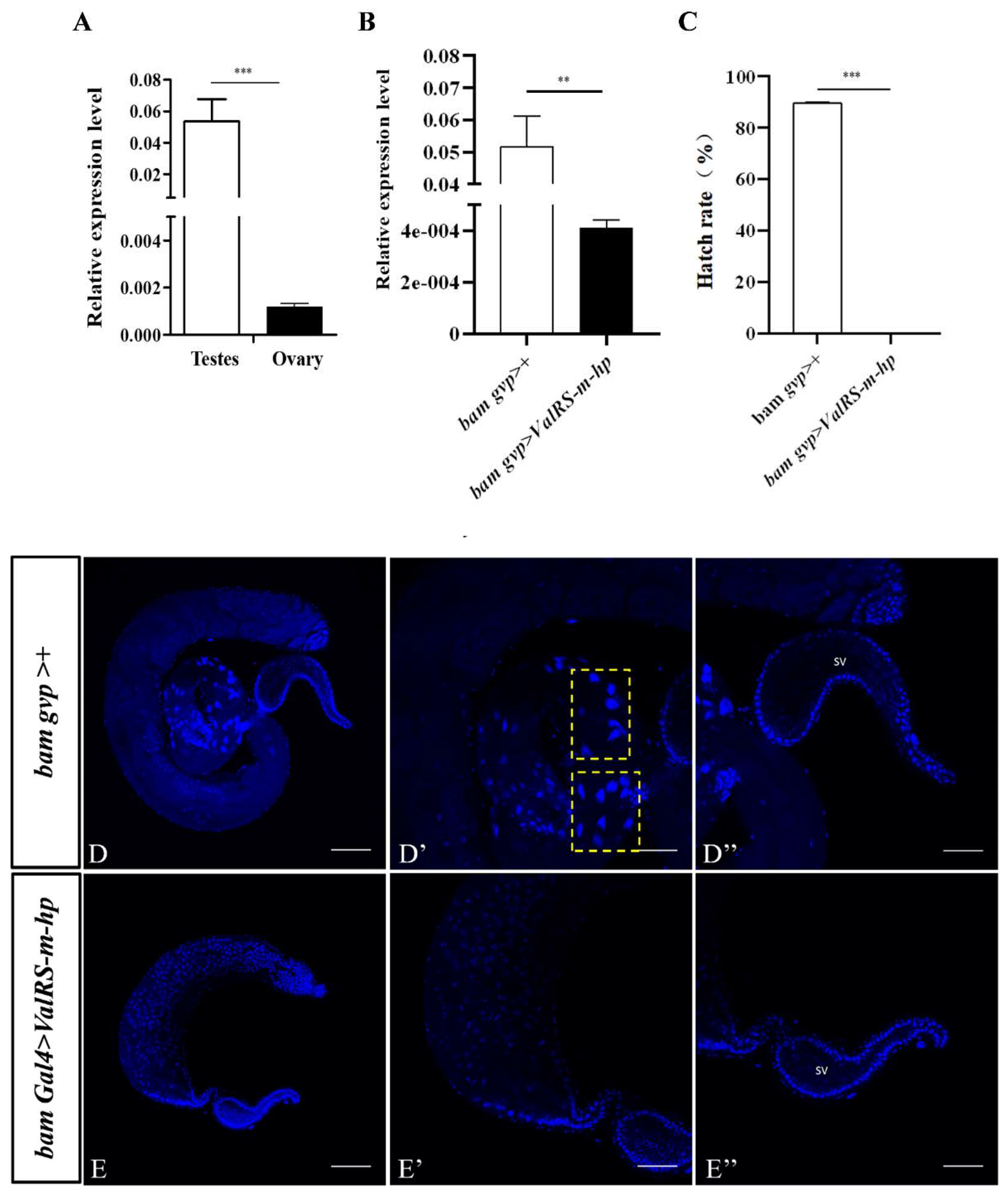 Preprints 106186 g001