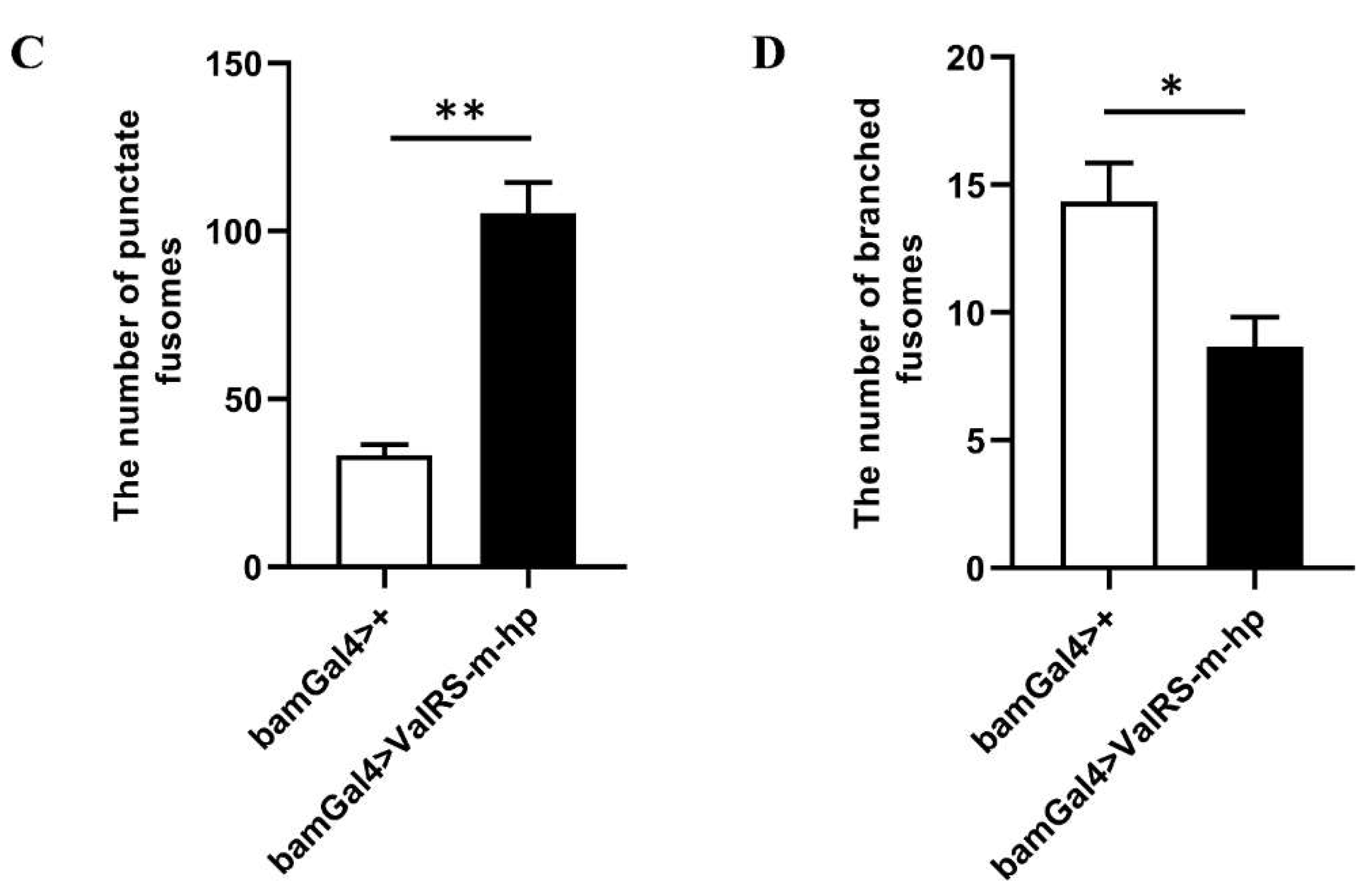 Preprints 106186 g002b