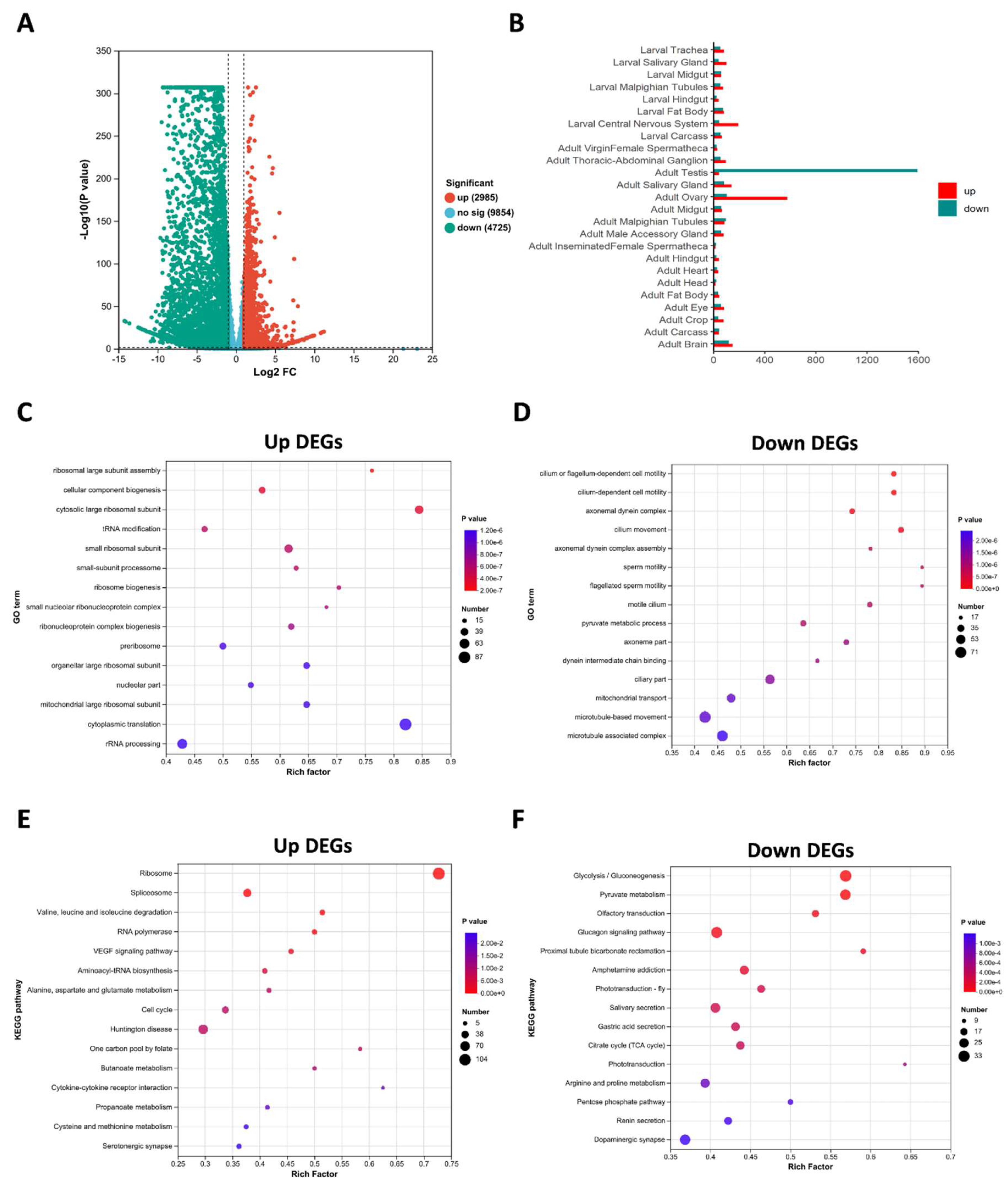 Preprints 106186 g005