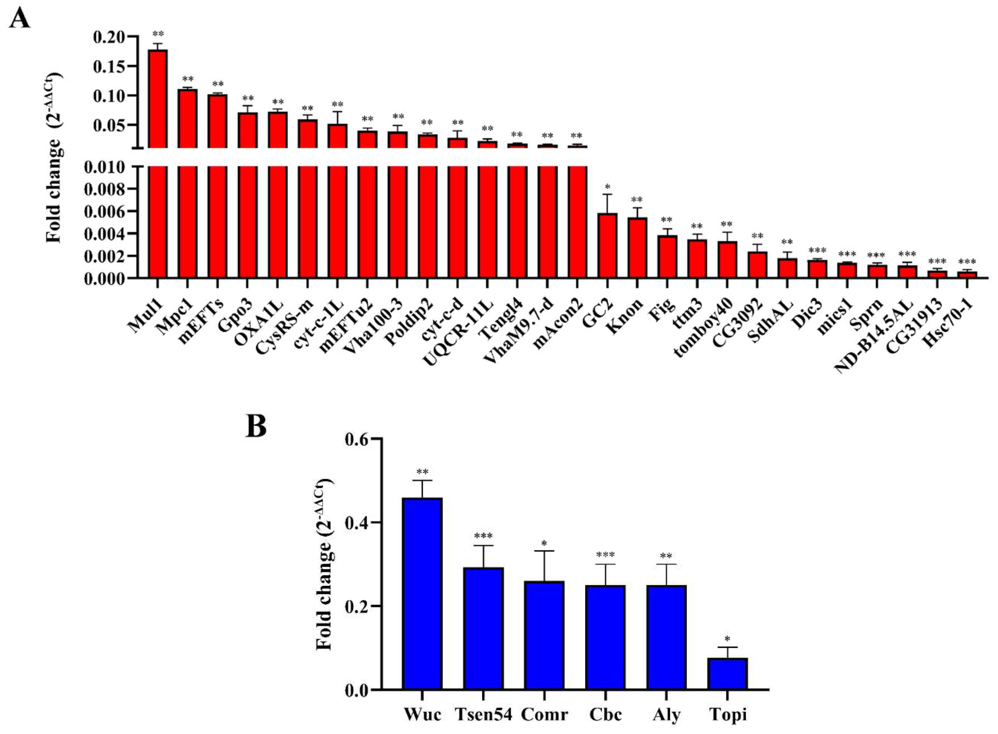 Preprints 106186 g006