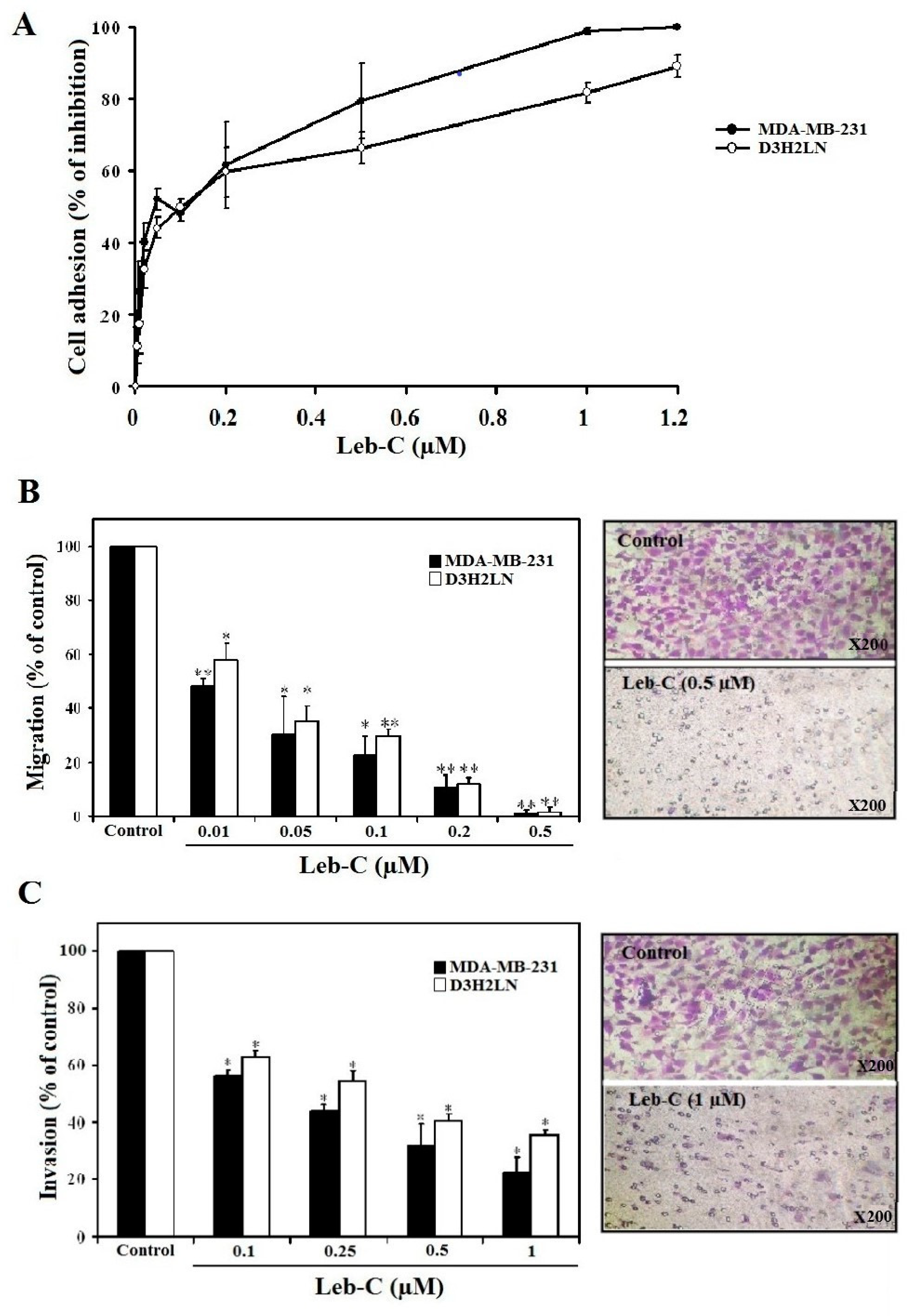 Preprints 76412 g001