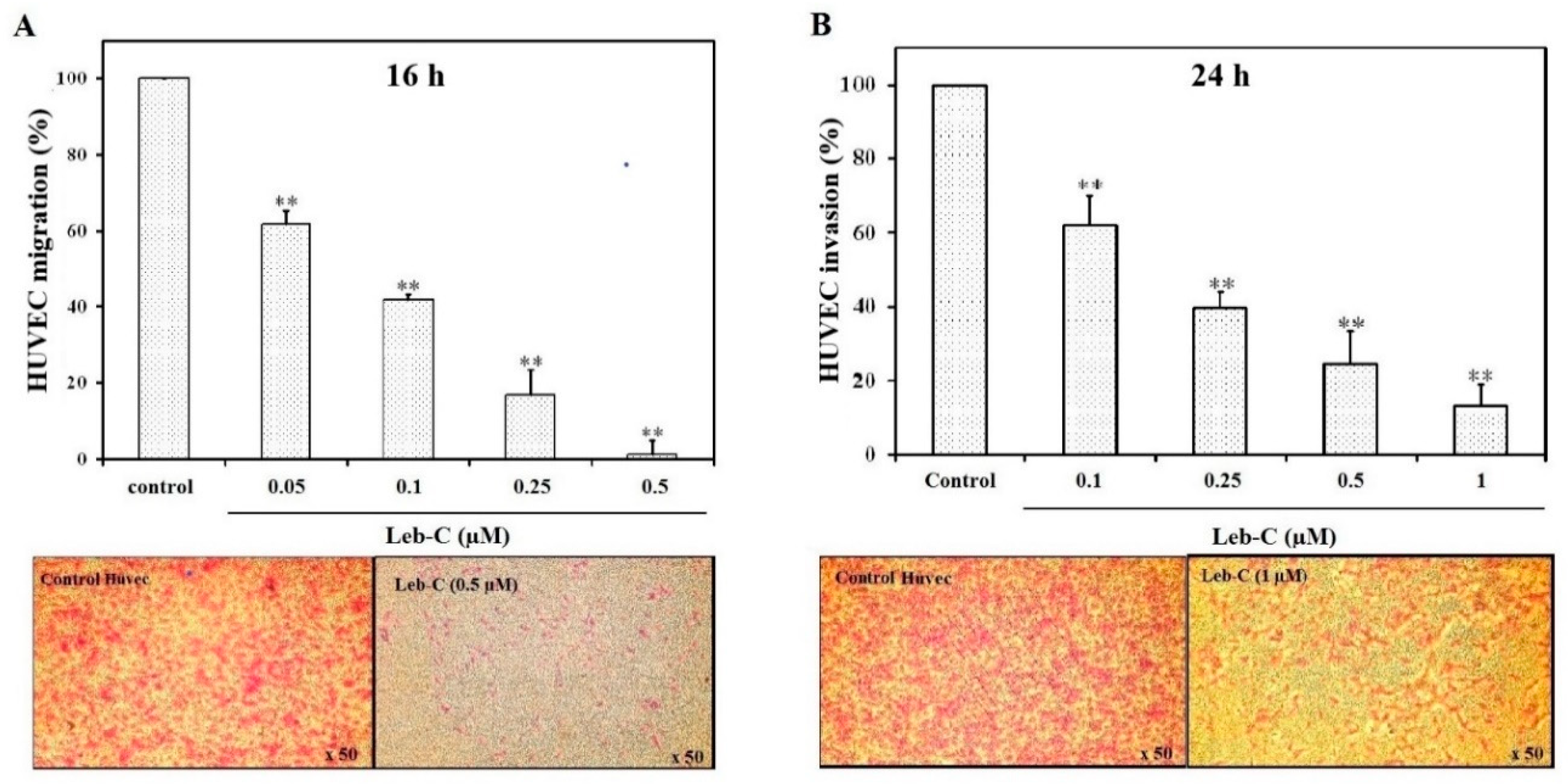 Preprints 76412 g003