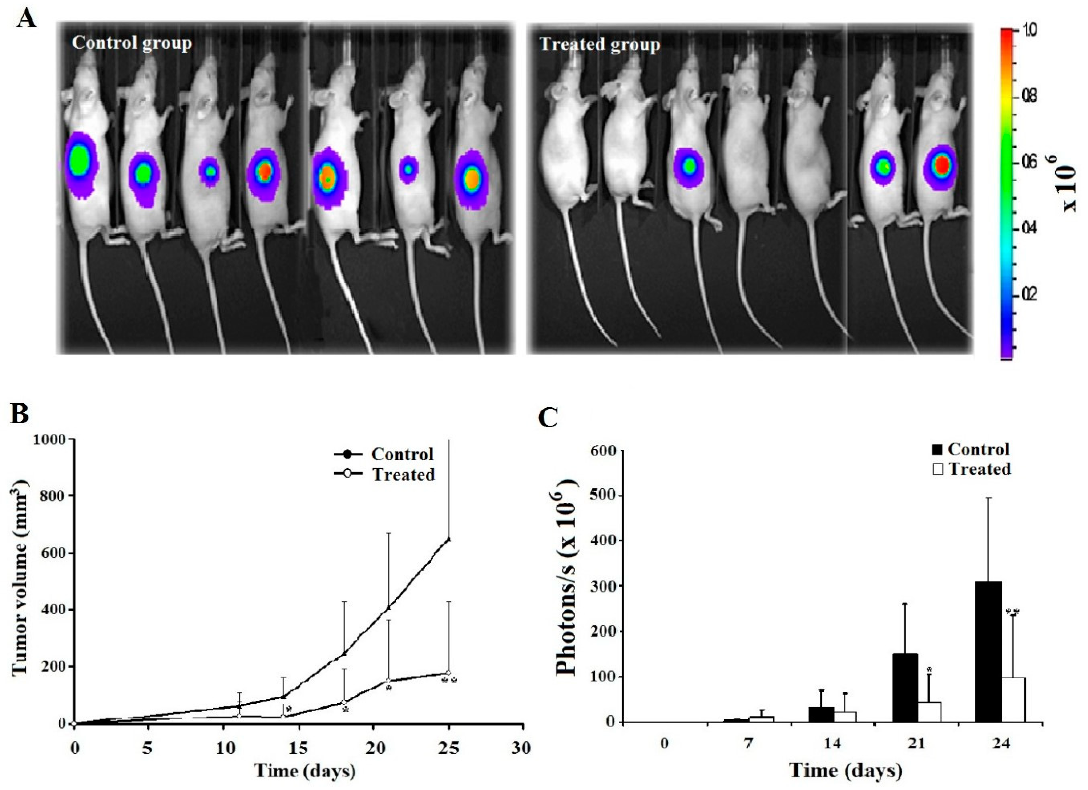 Preprints 76412 g004