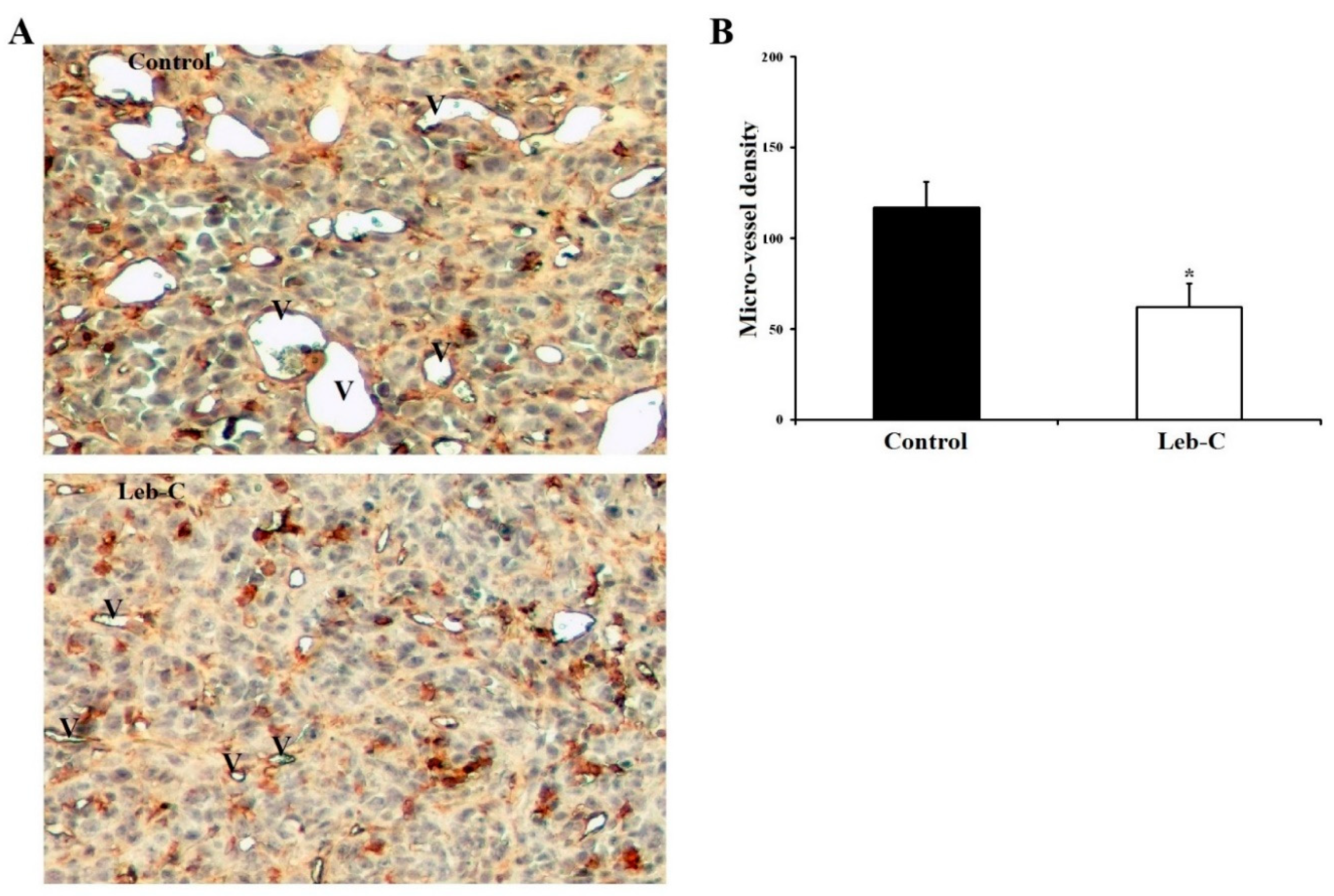 Preprints 76412 g005