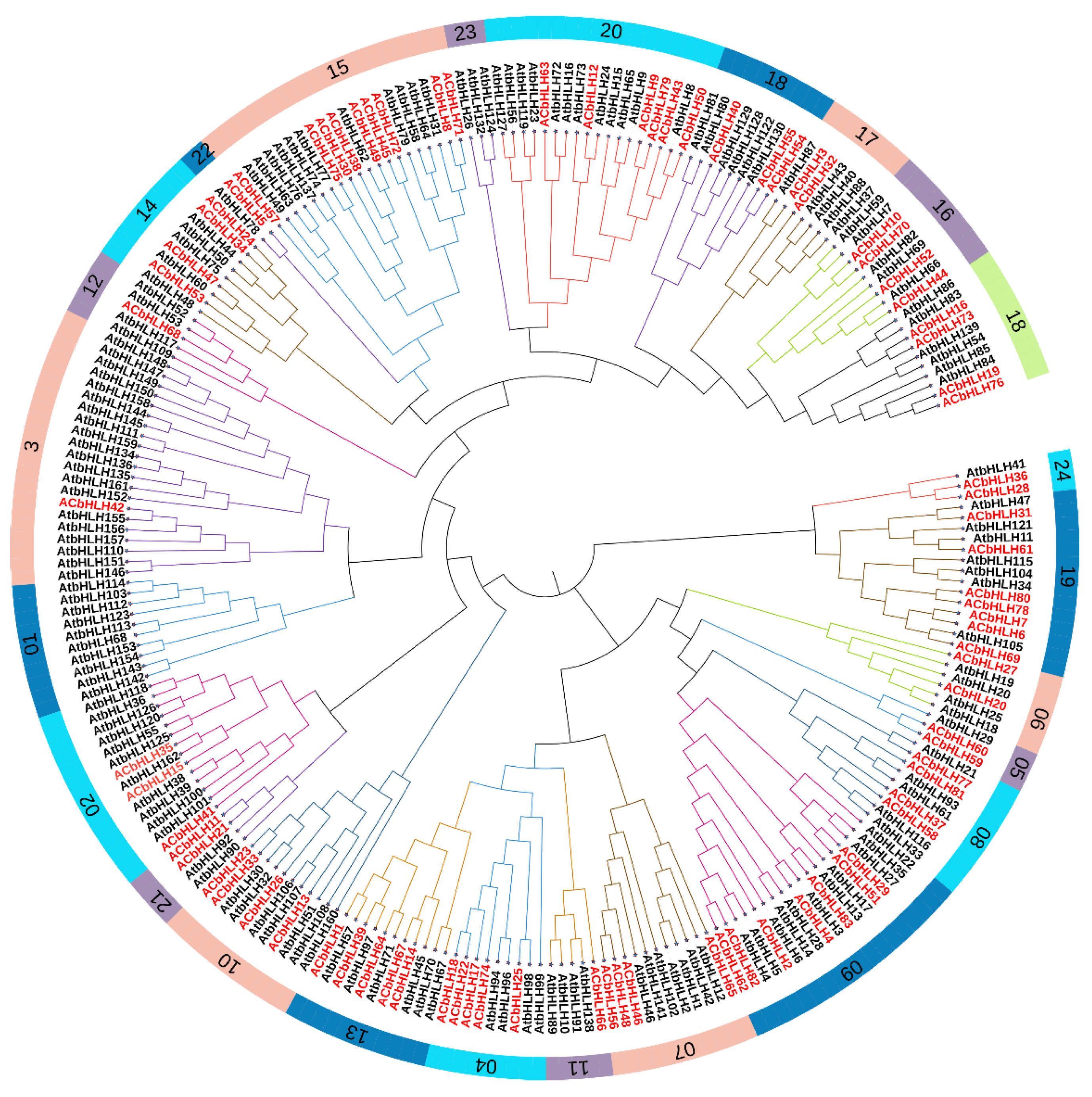 Preprints 137352 g001