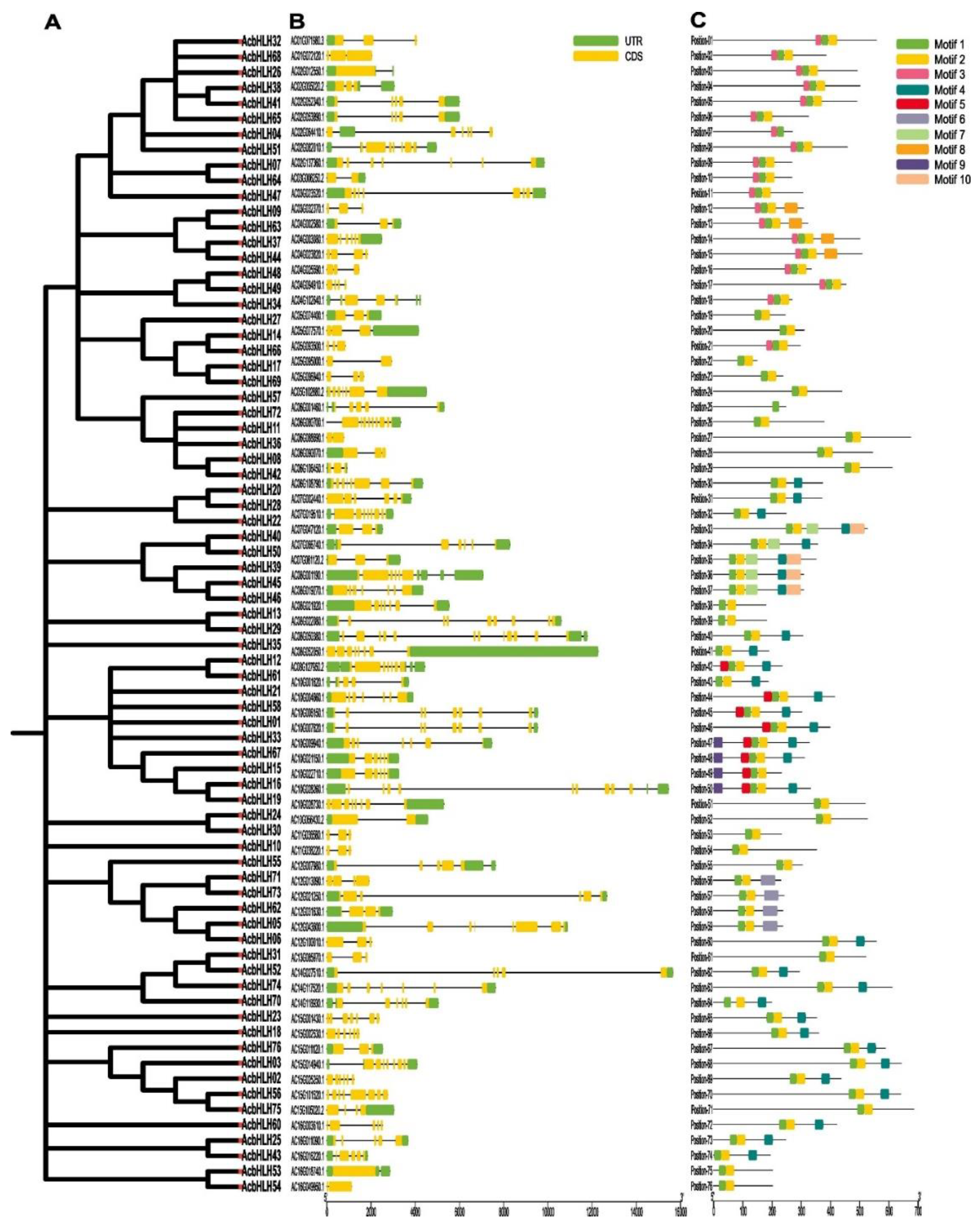 Preprints 137352 g003