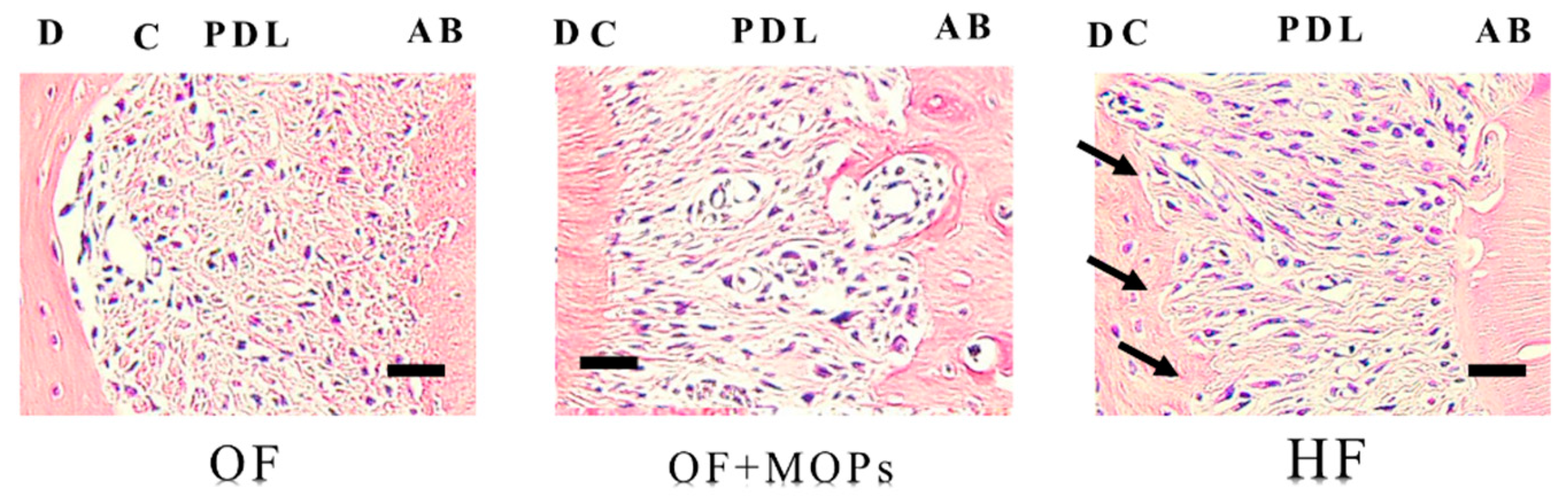 Preprints 95497 g006