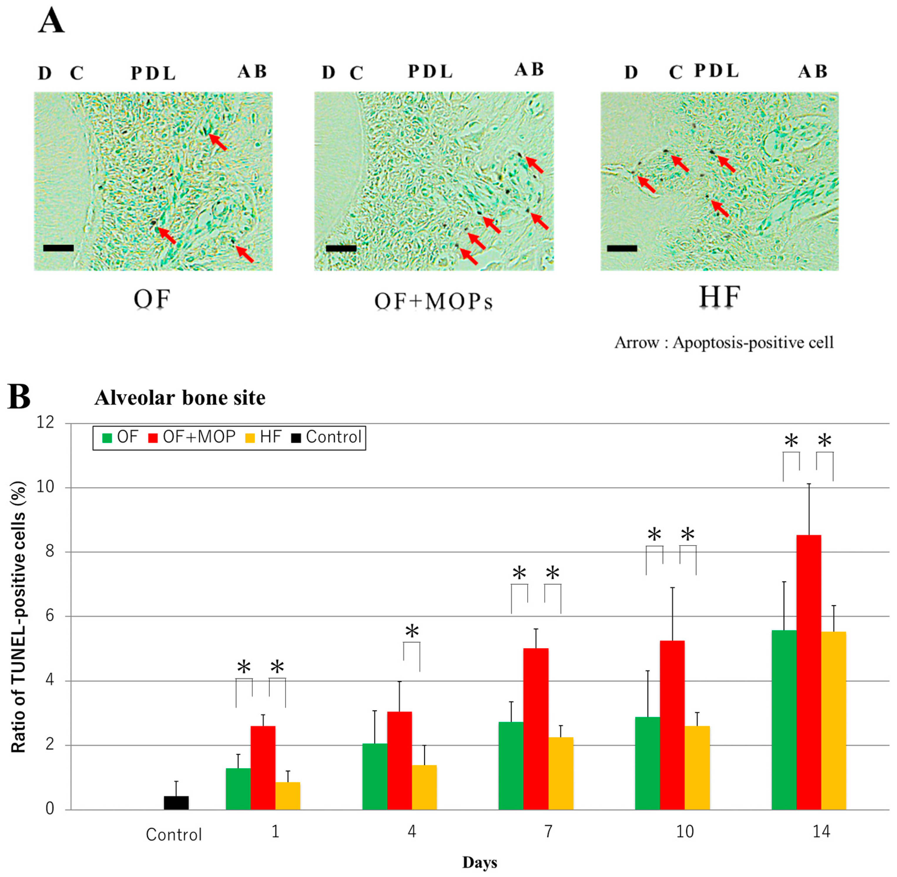 Preprints 95497 g007a