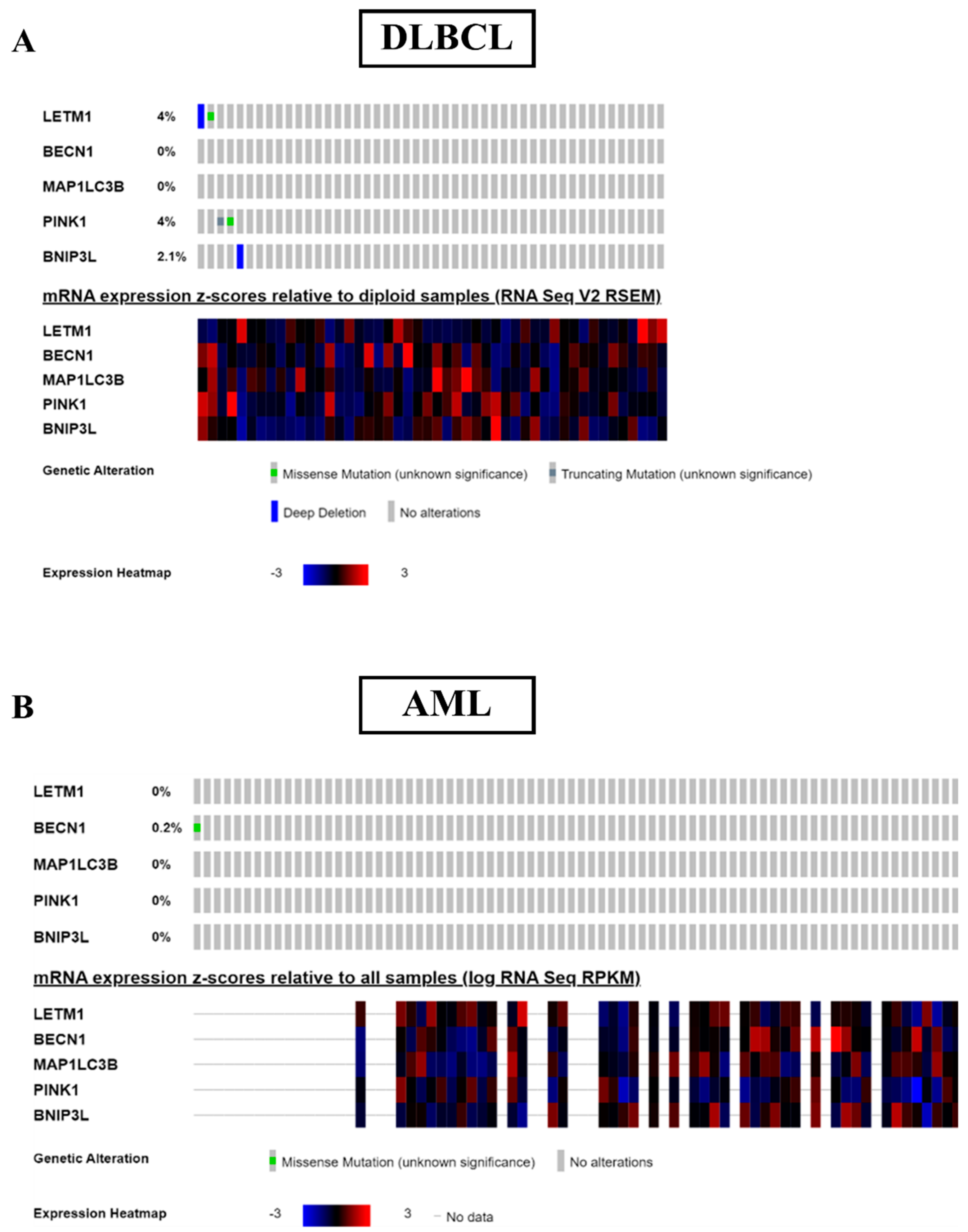 Preprints 113511 g003