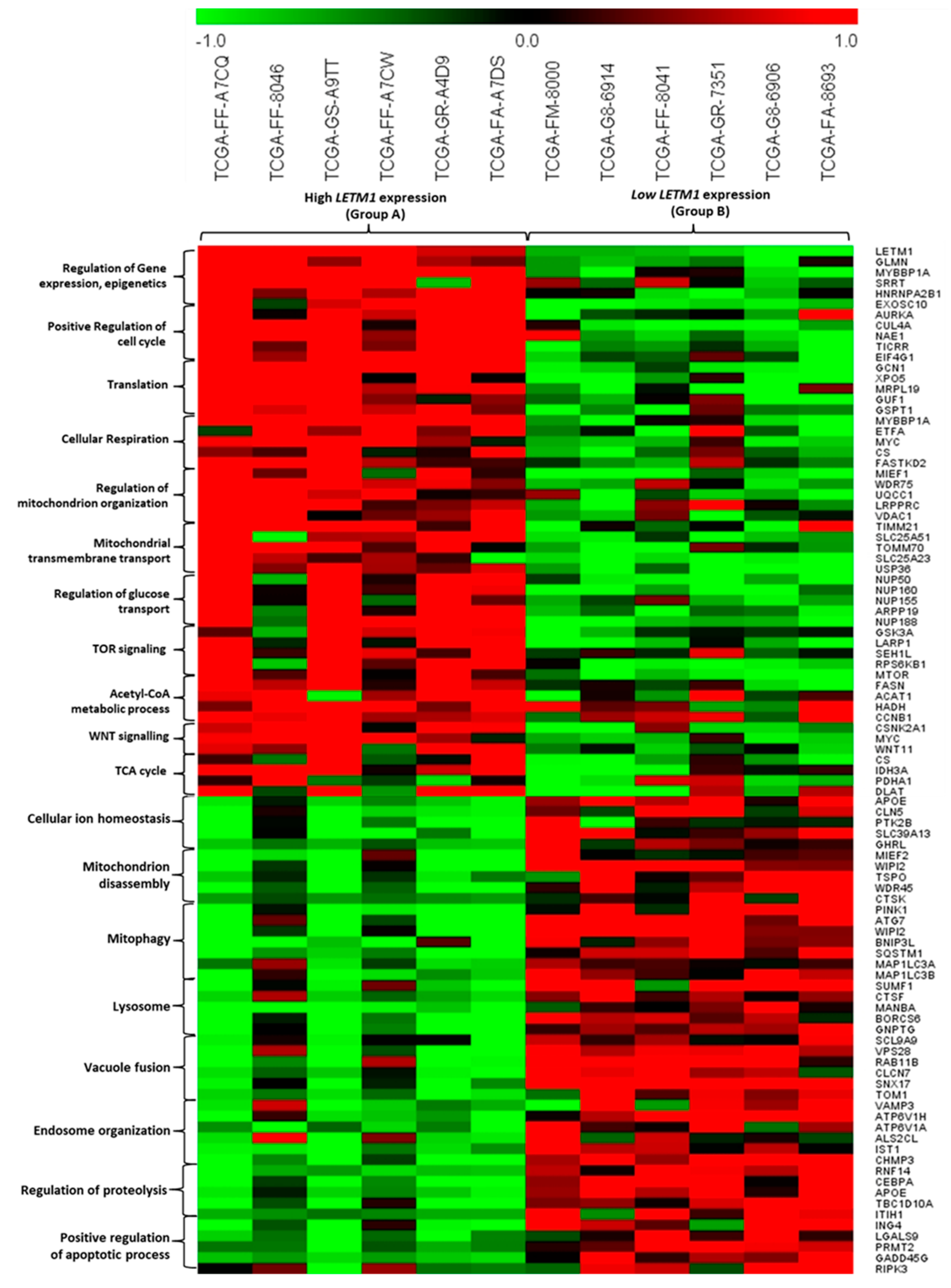 Preprints 113511 g005