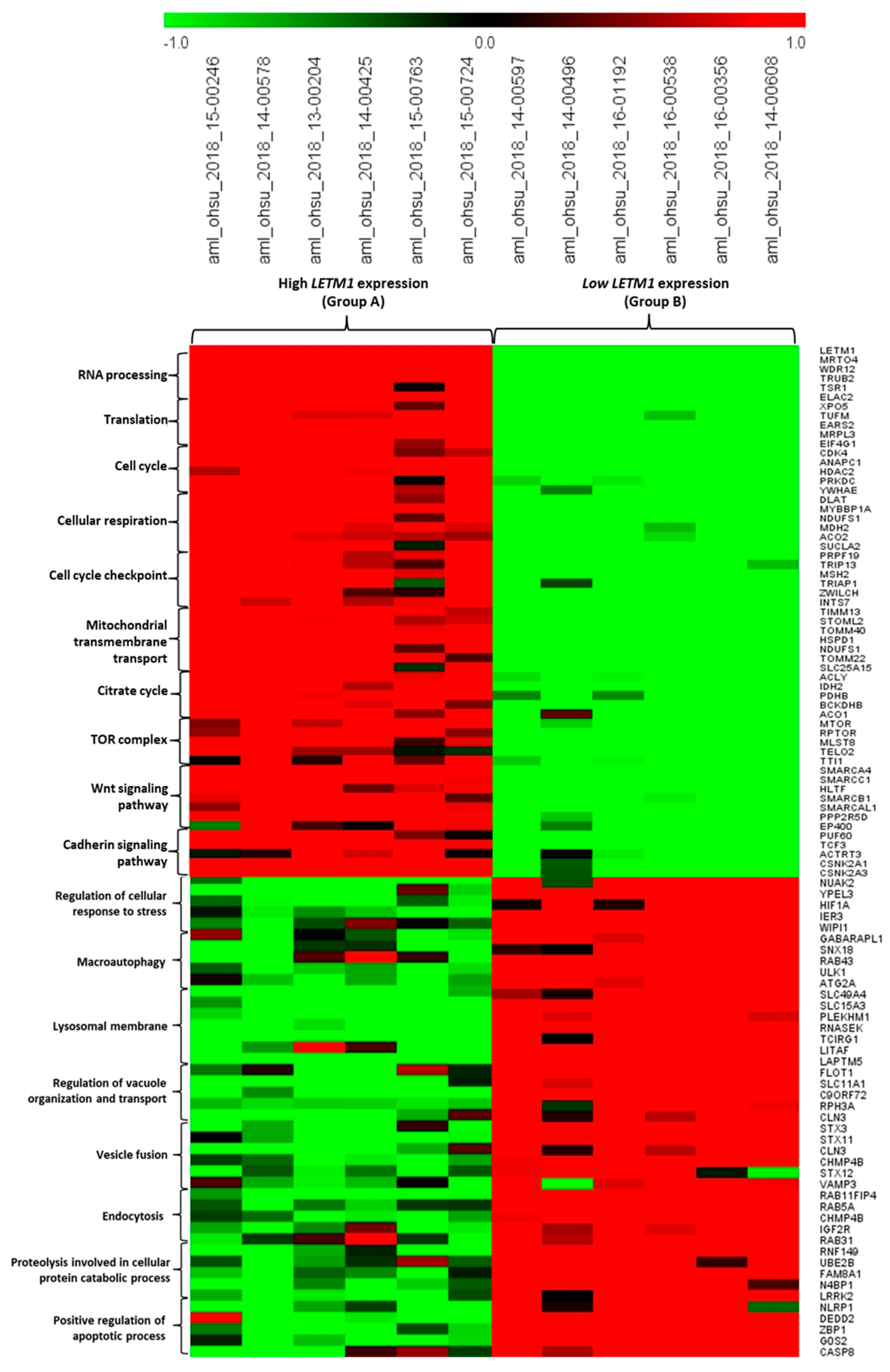 Preprints 113511 g006