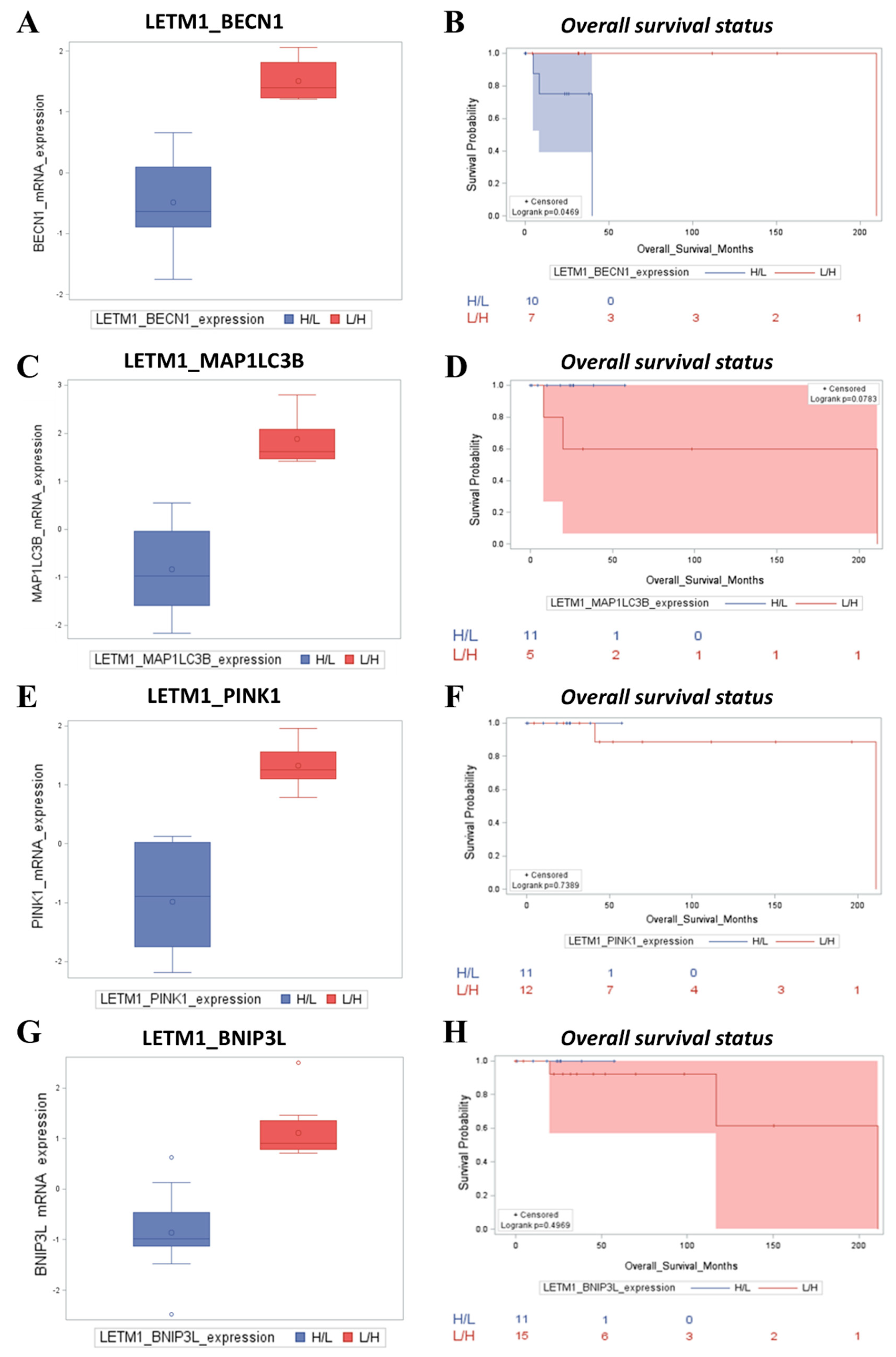 Preprints 113511 g007