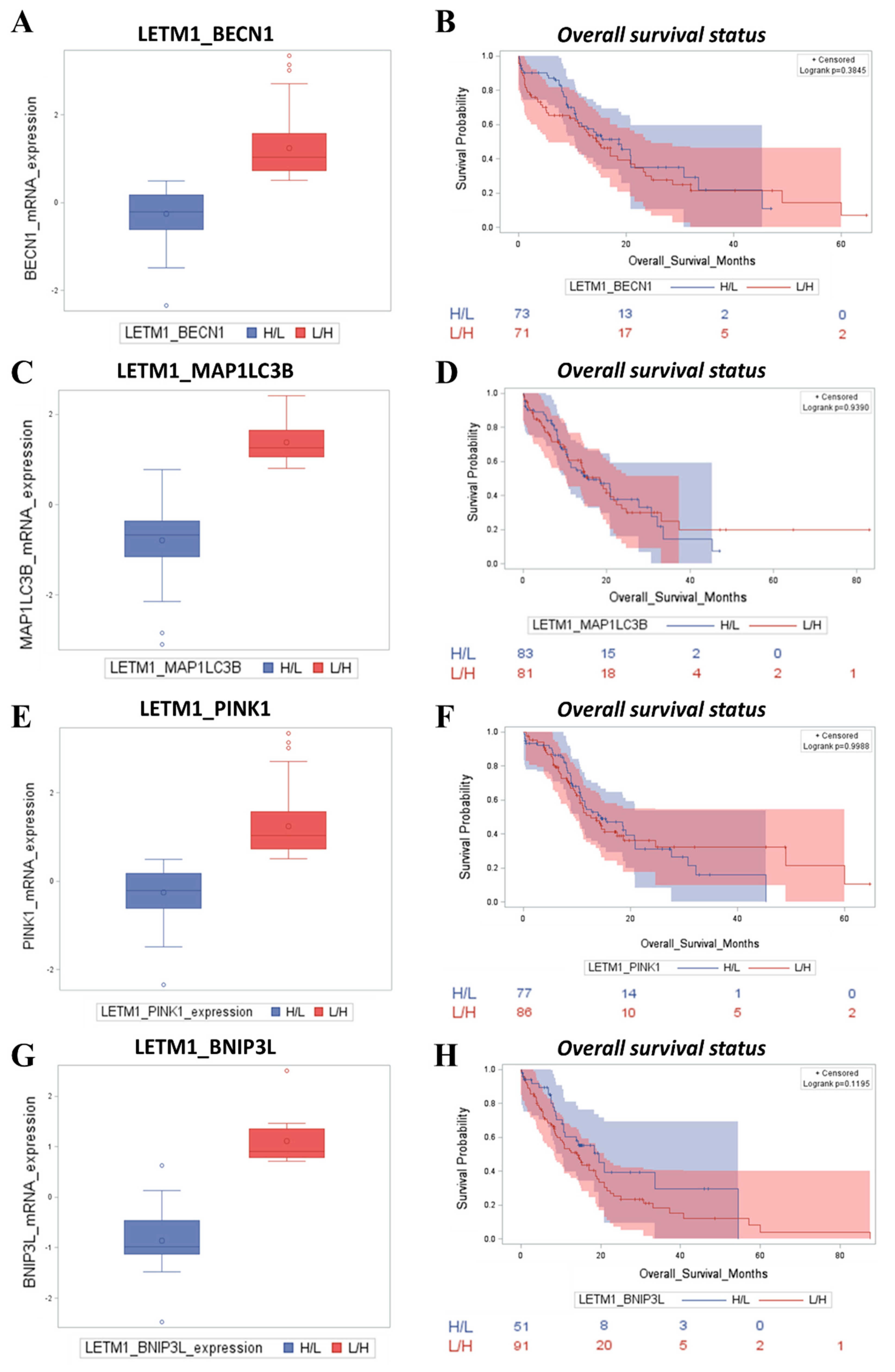 Preprints 113511 g008