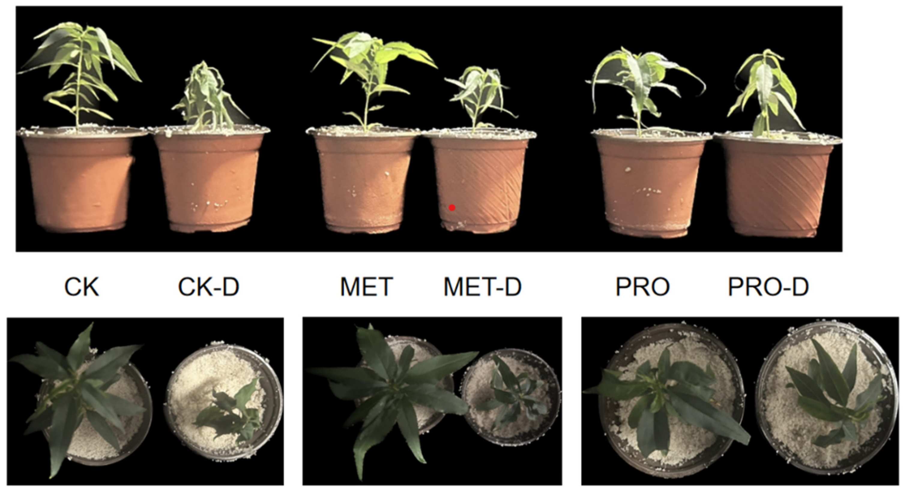 Preprints 89492 g001