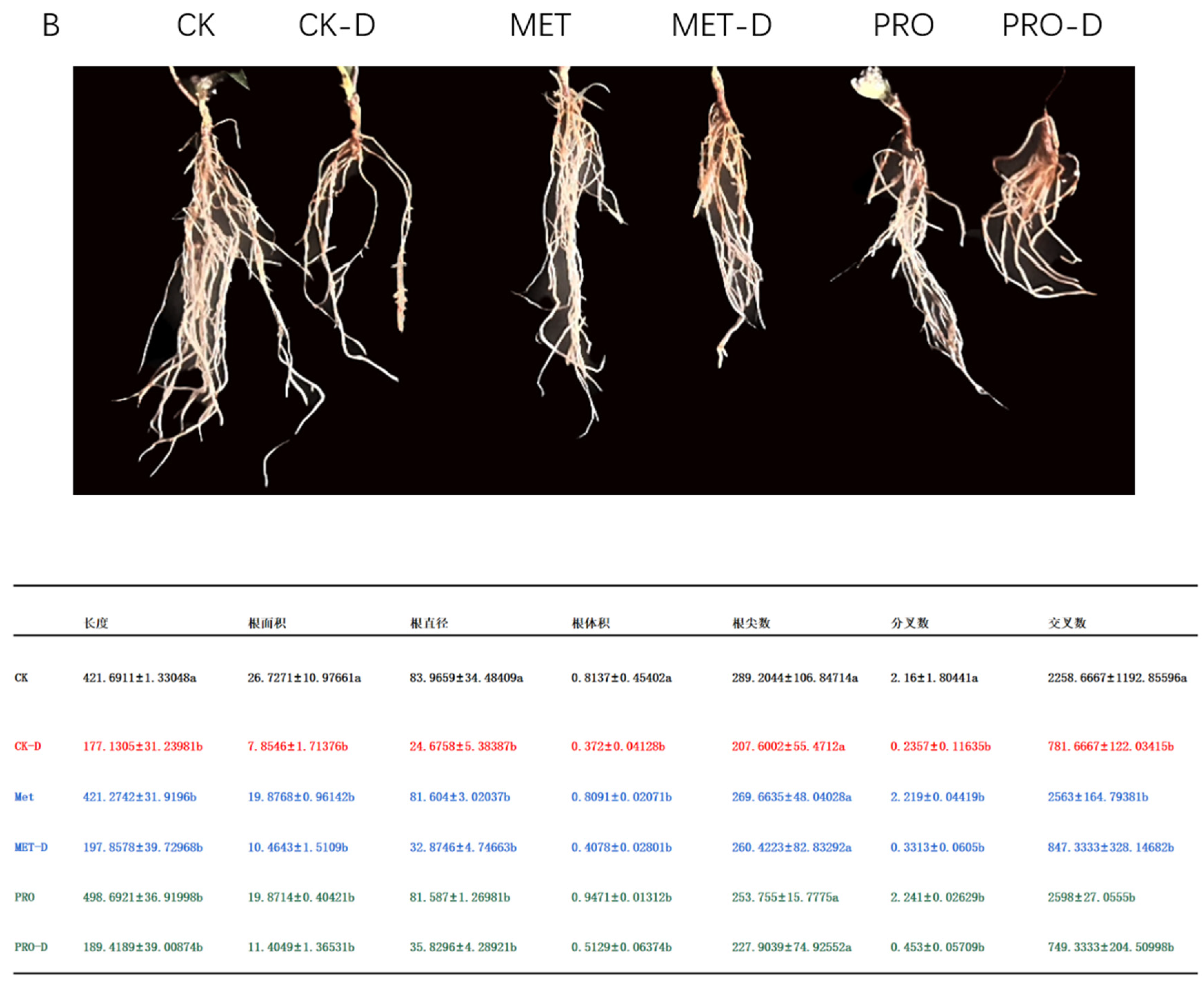 Preprints 89492 g009b