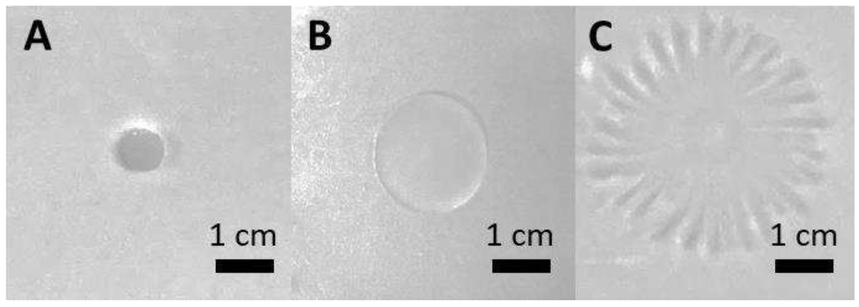 Preprints 90997 g004