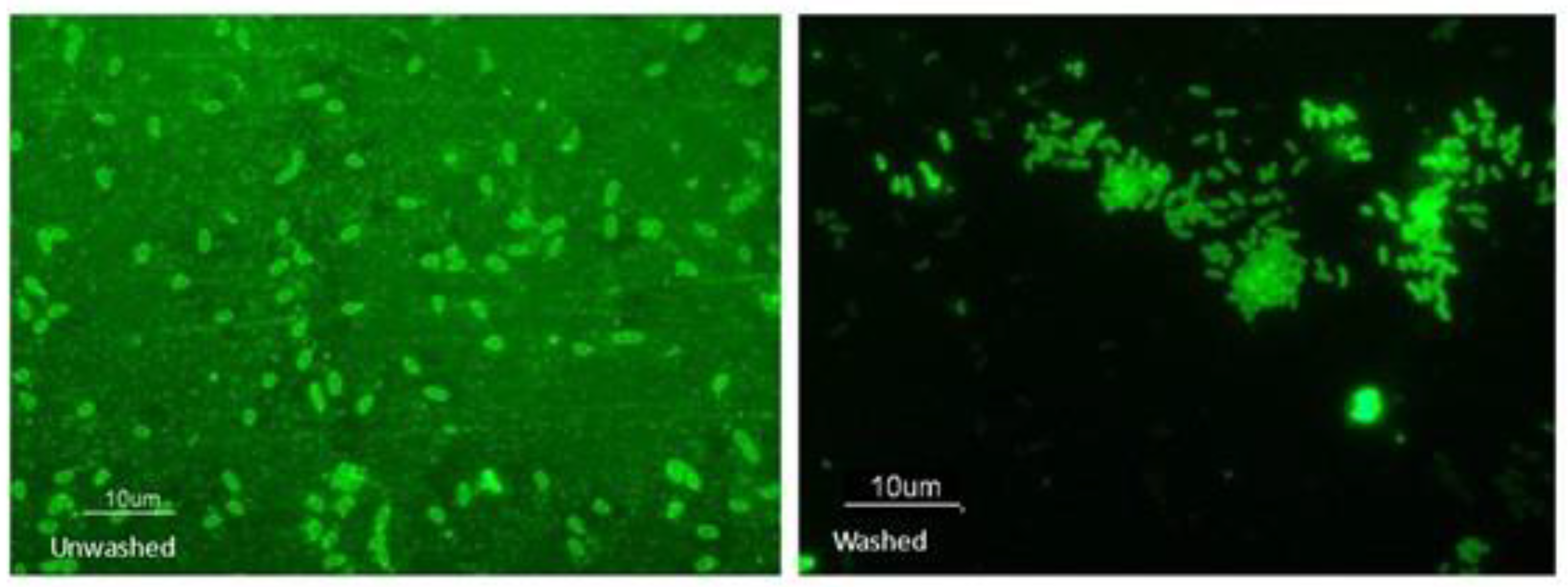 Preprints 90997 g005