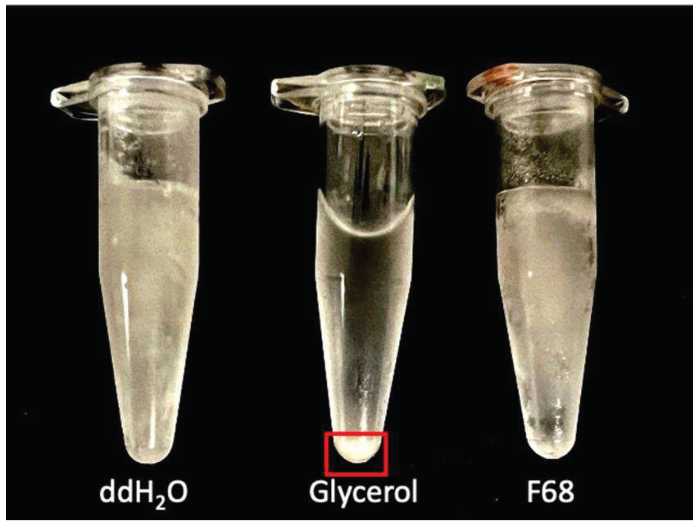 Preprints 90997 g007