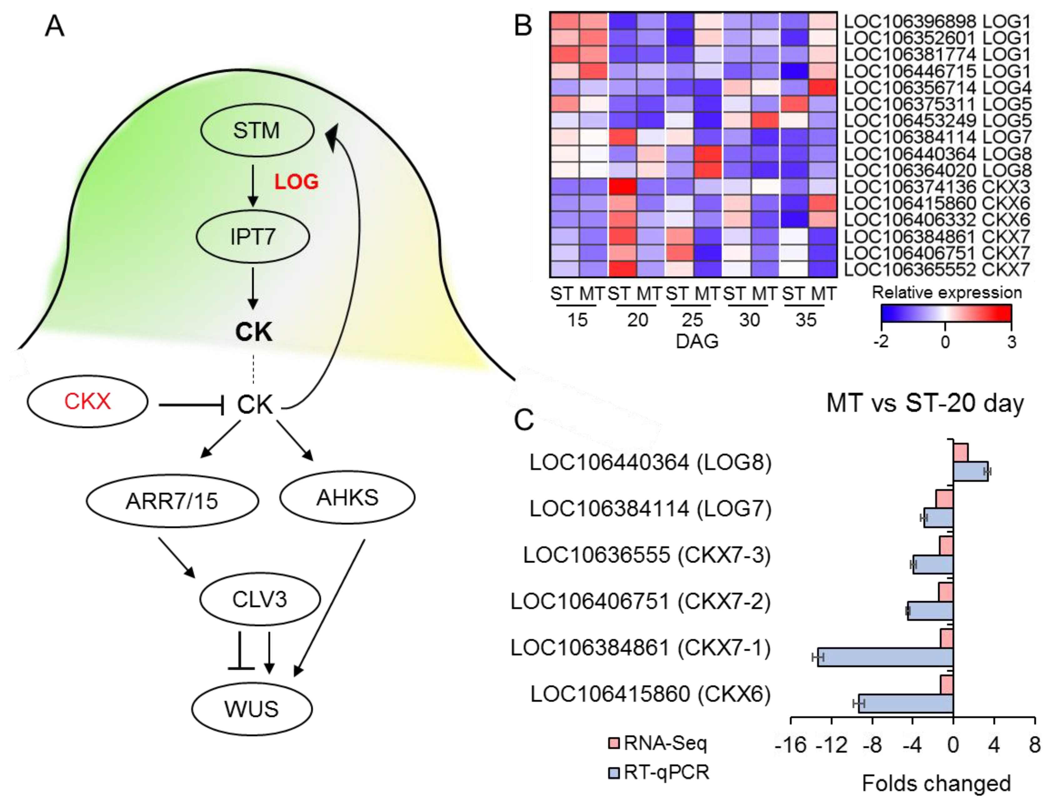 Preprints 71346 g005