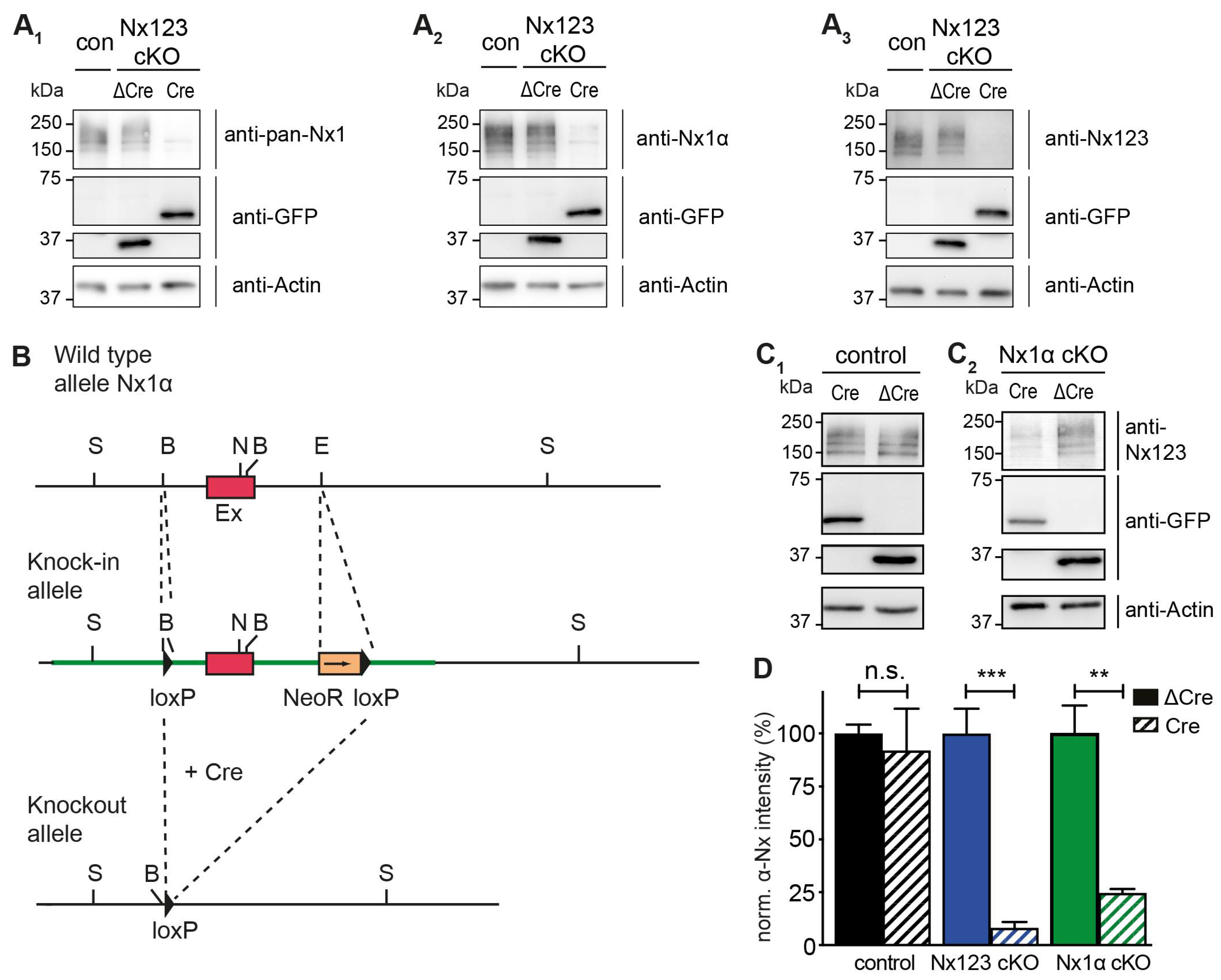 Preprints 107393 g001