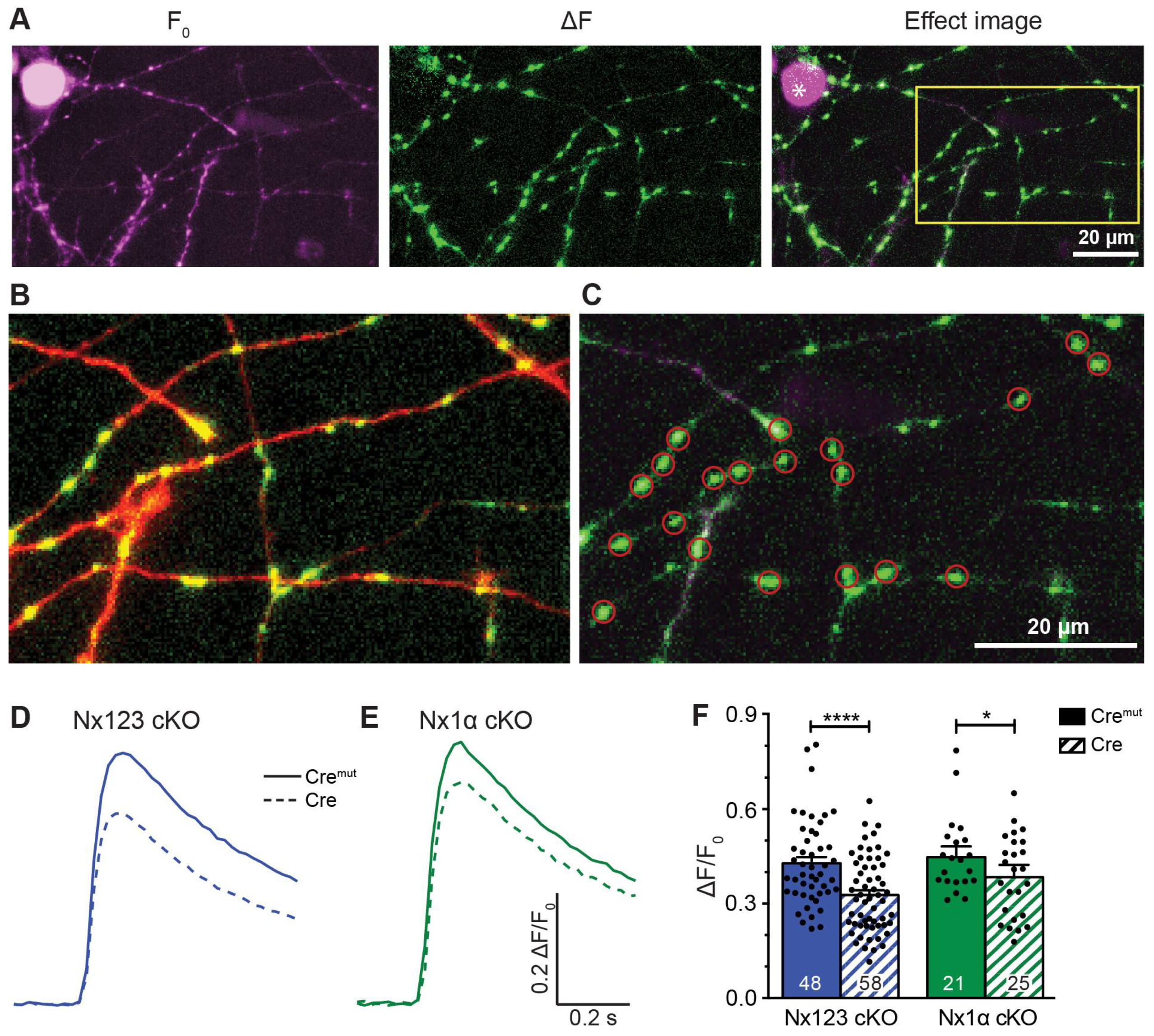 Preprints 107393 g002