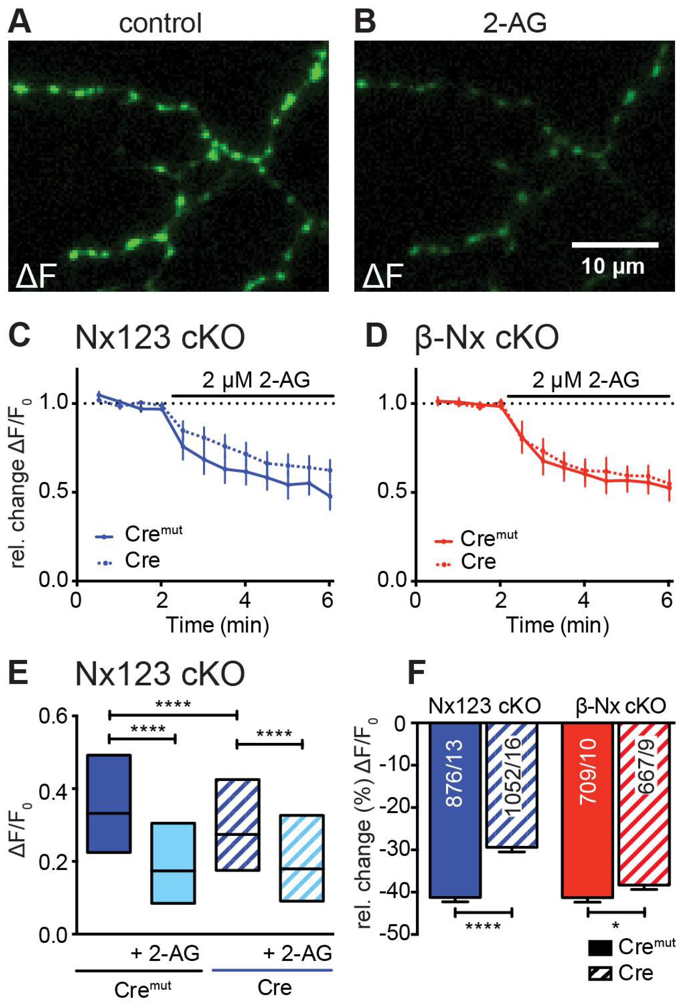 Preprints 107393 g005