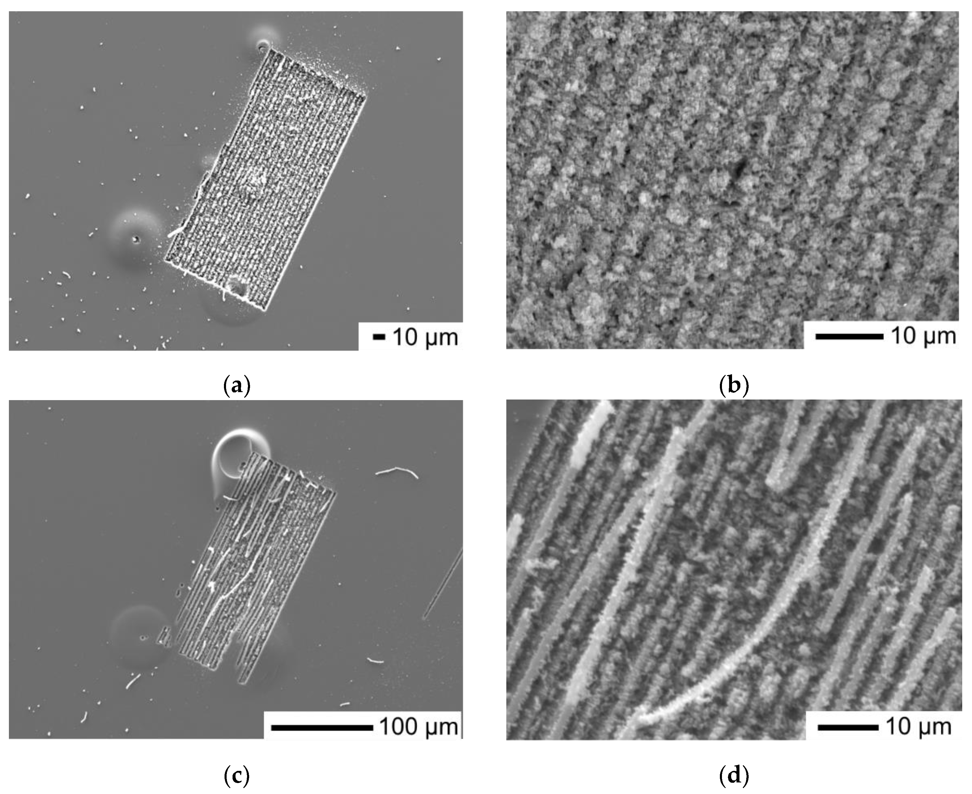 Preprints 110797 g003