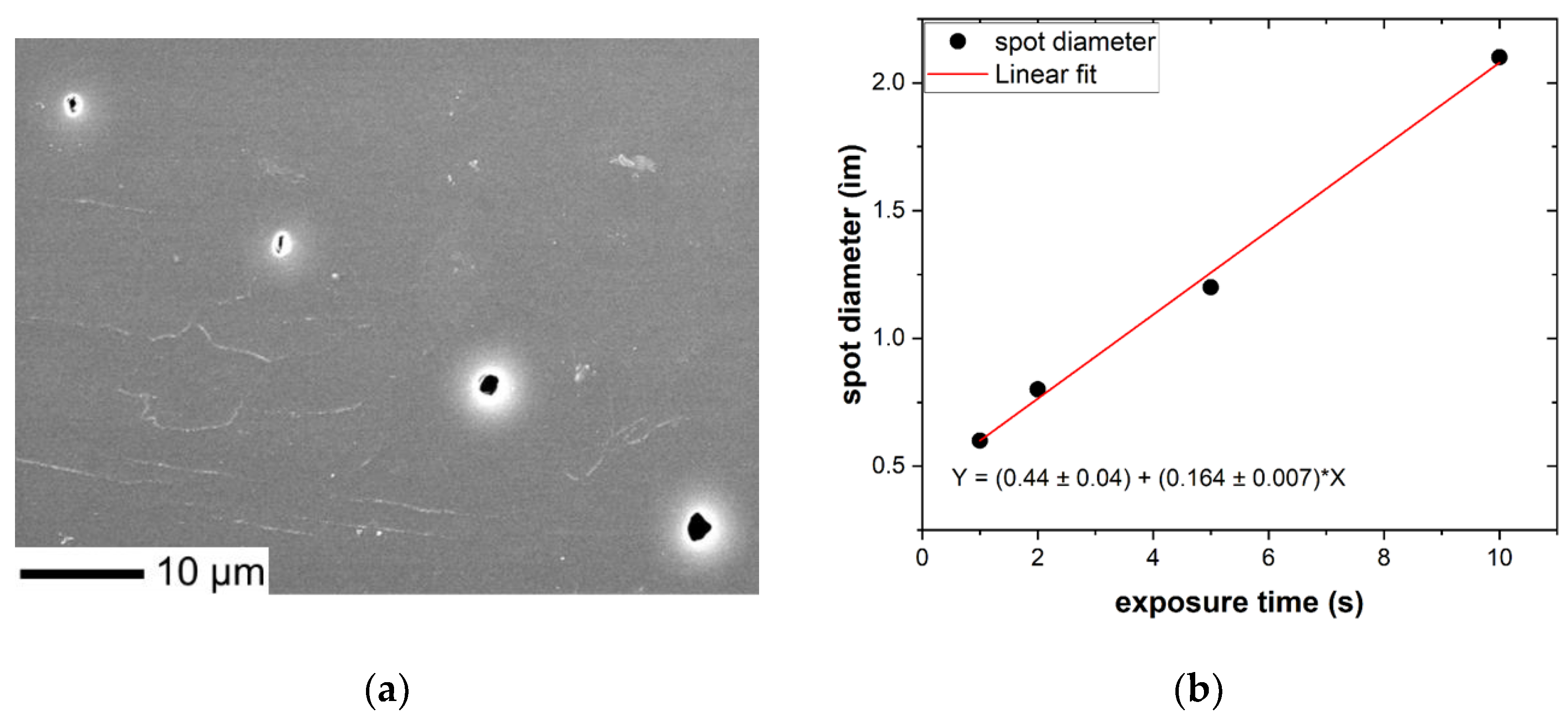 Preprints 110797 g009