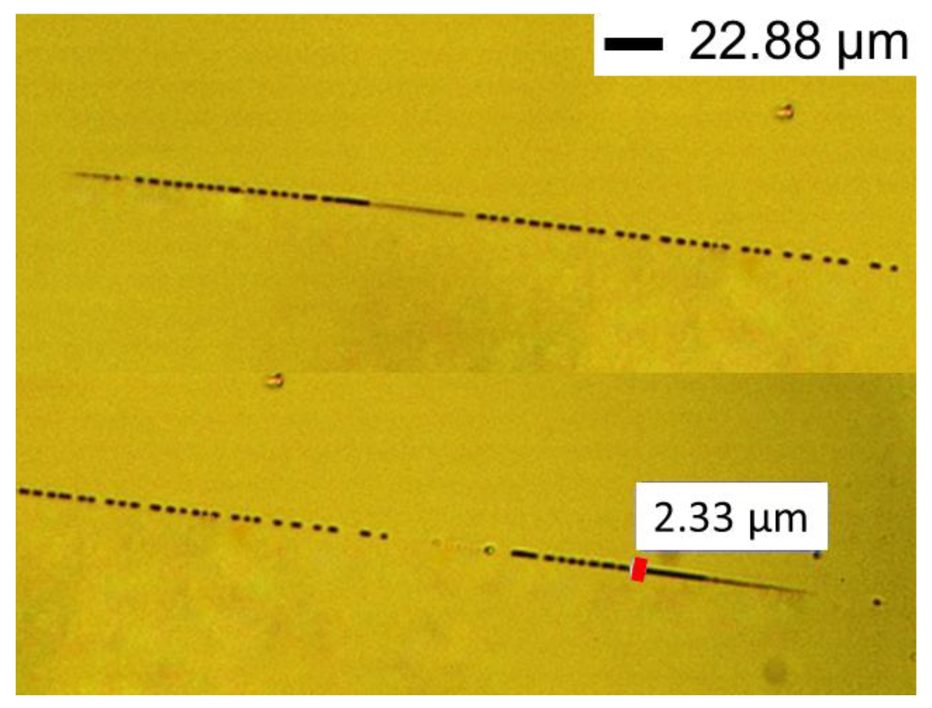 Preprints 110797 g010