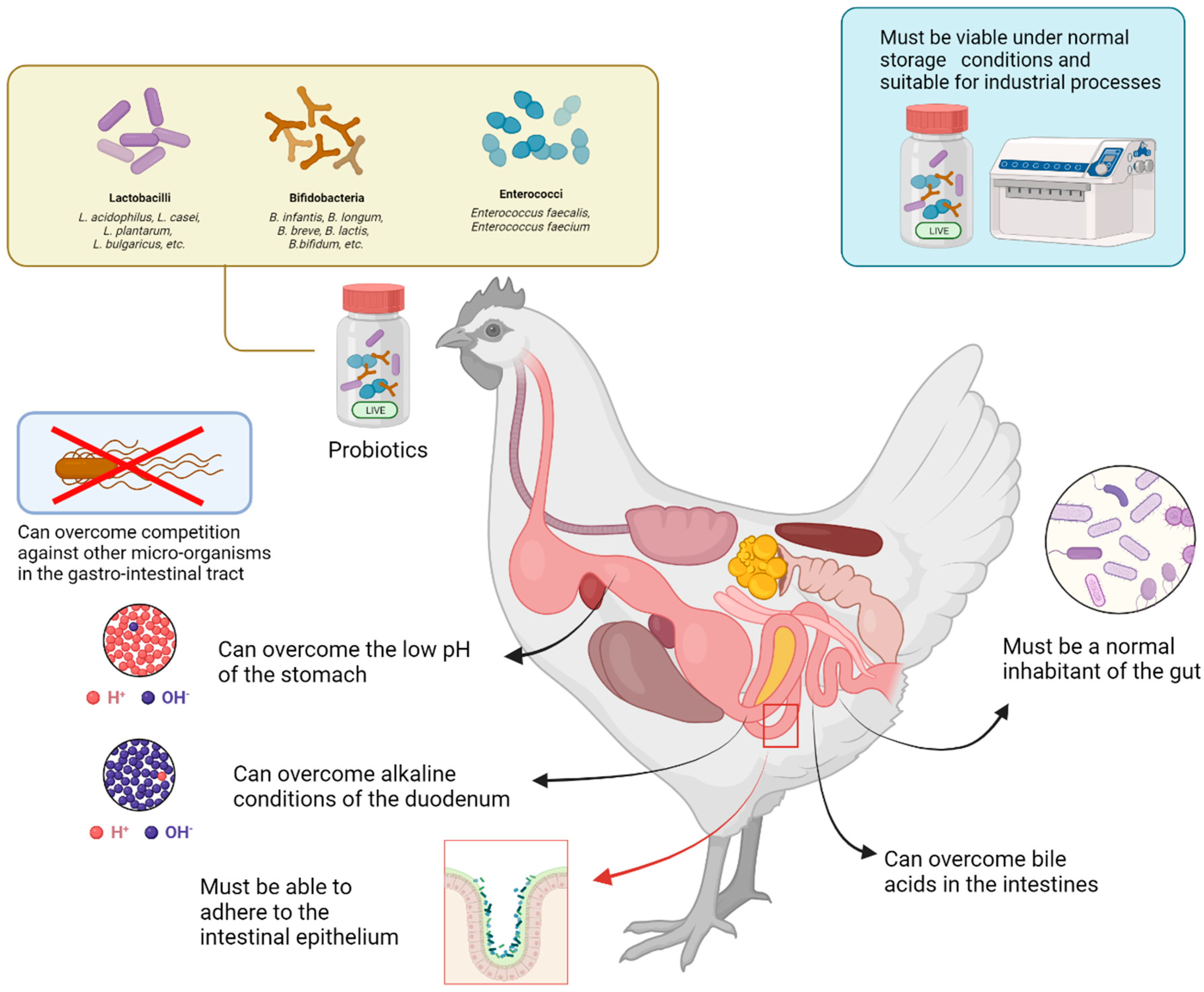 Preprints 89827 g001