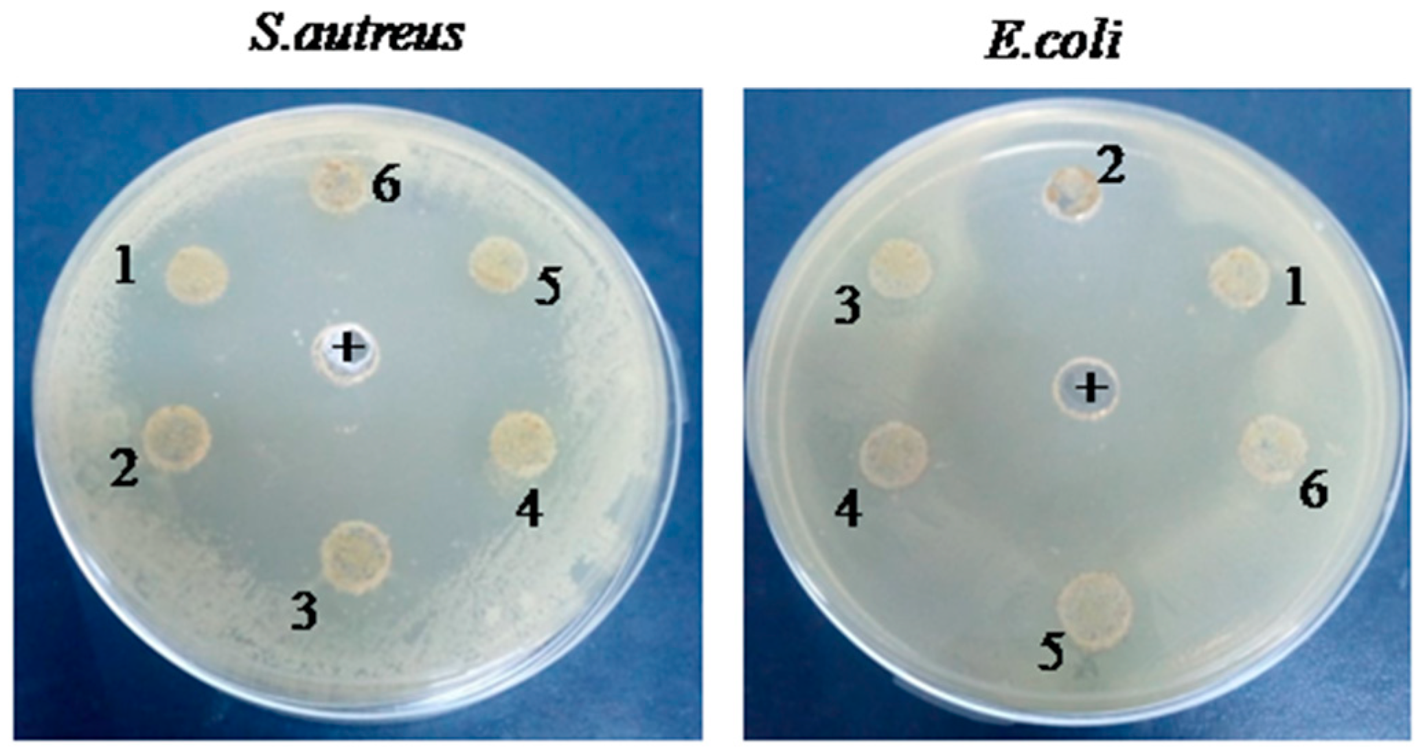 Preprints 96680 g001