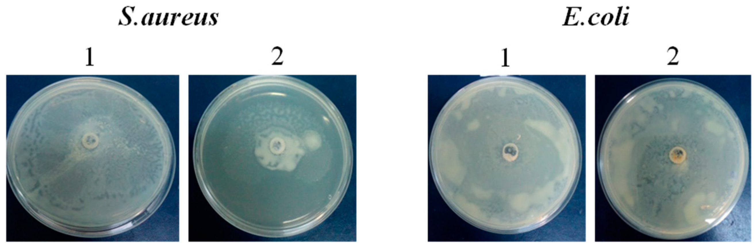 Preprints 96680 g003