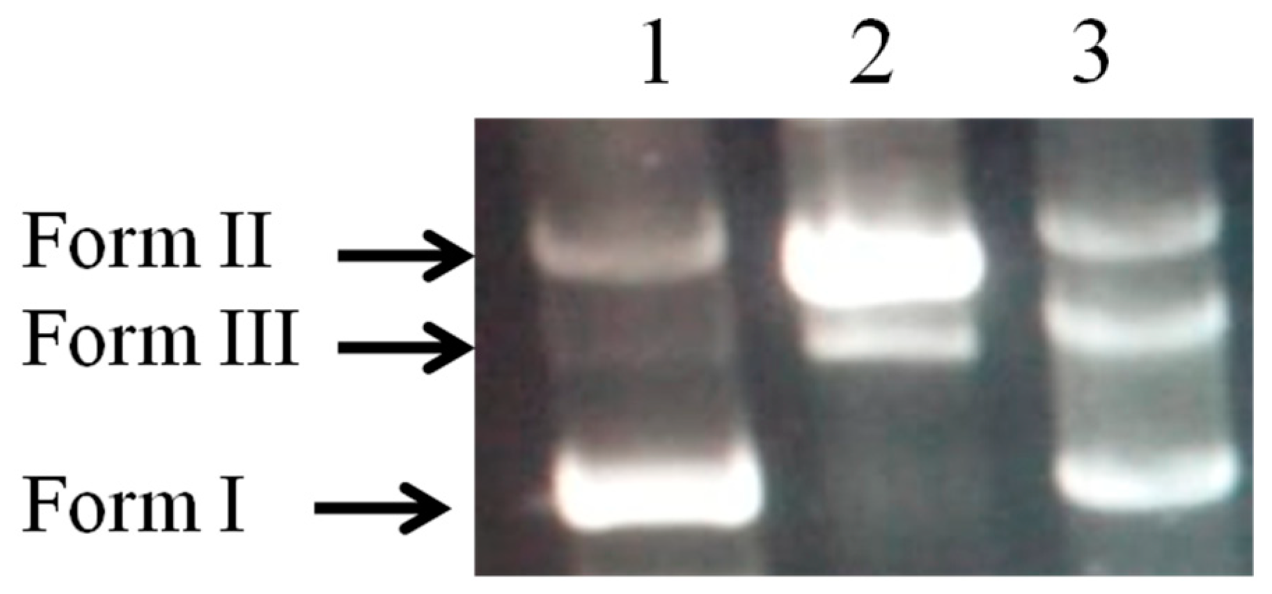 Preprints 96680 g007