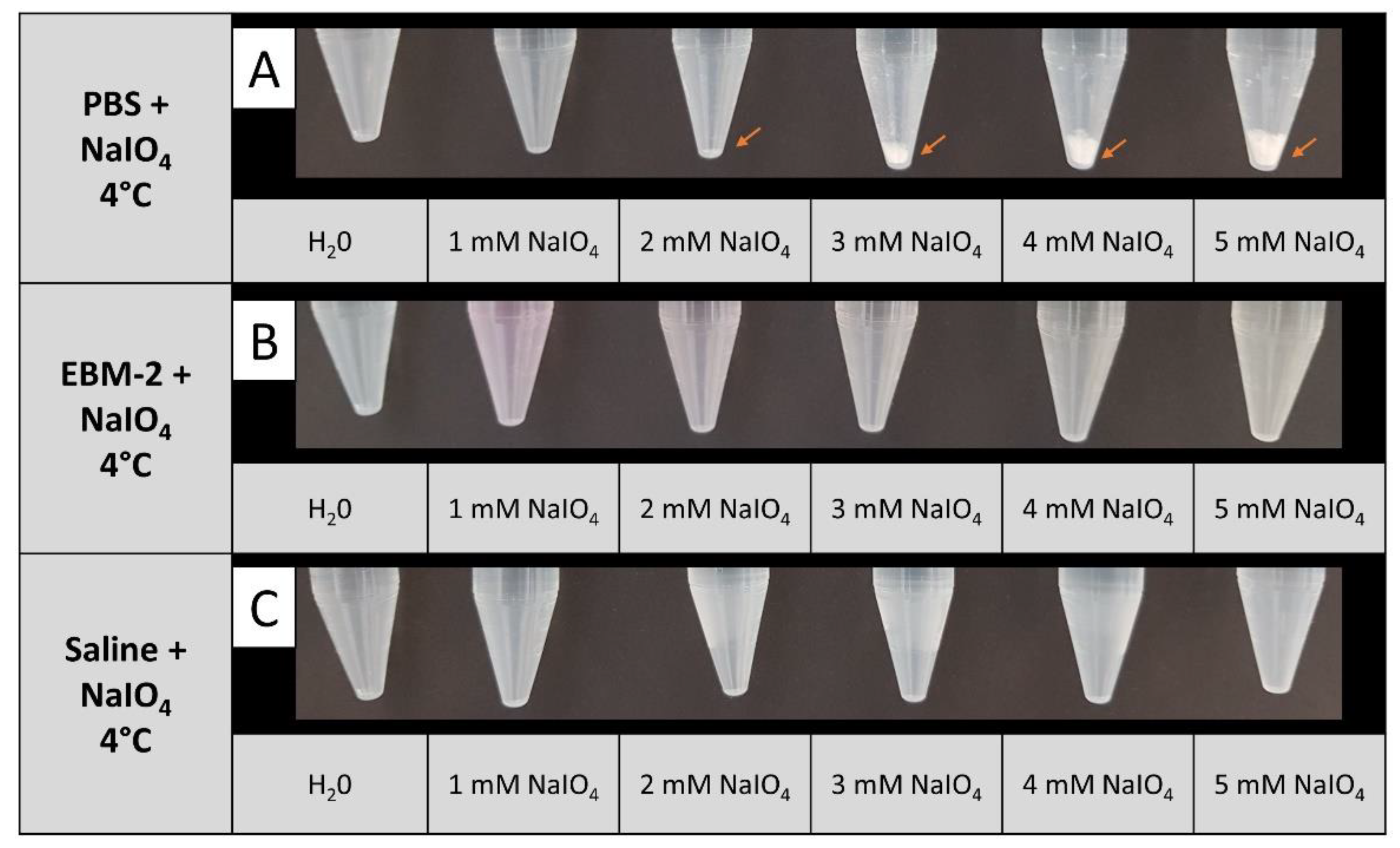 Preprints 108247 g002