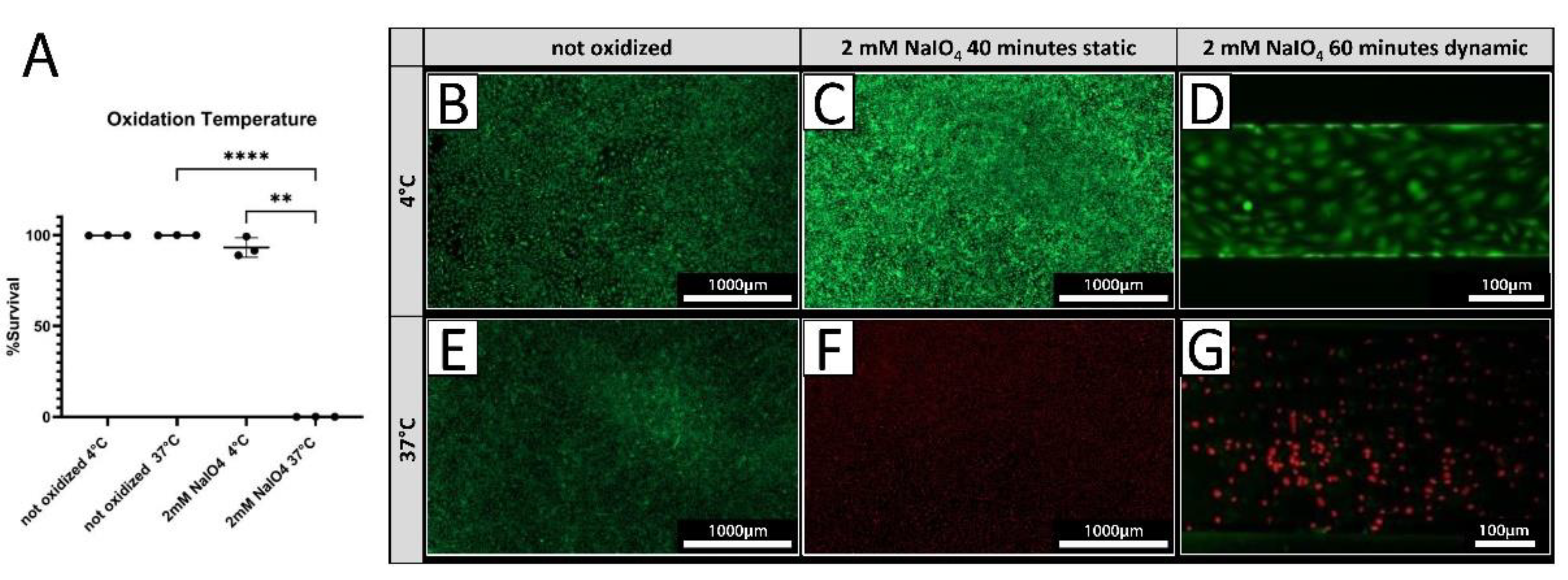 Preprints 108247 g003