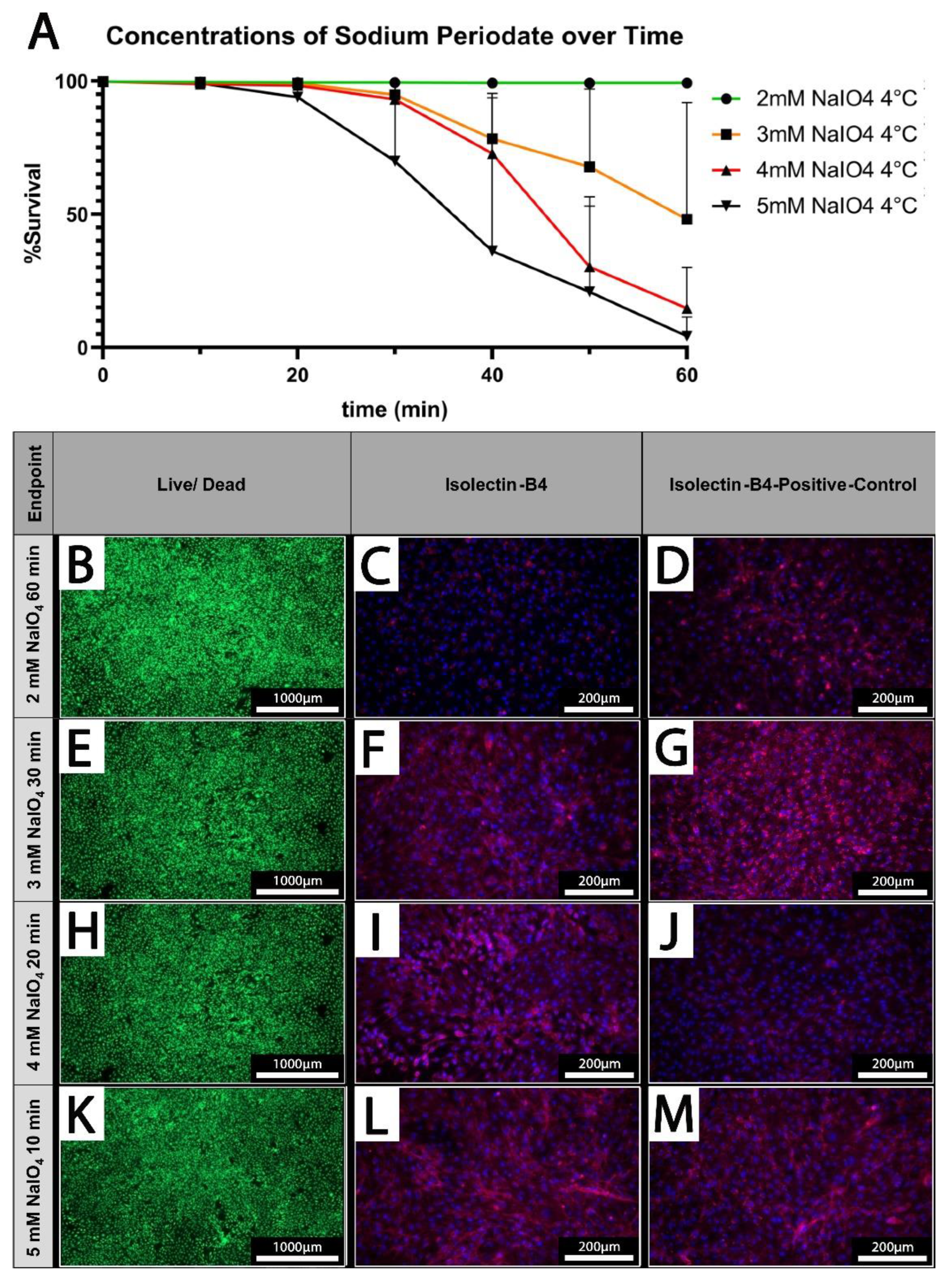 Preprints 108247 g004