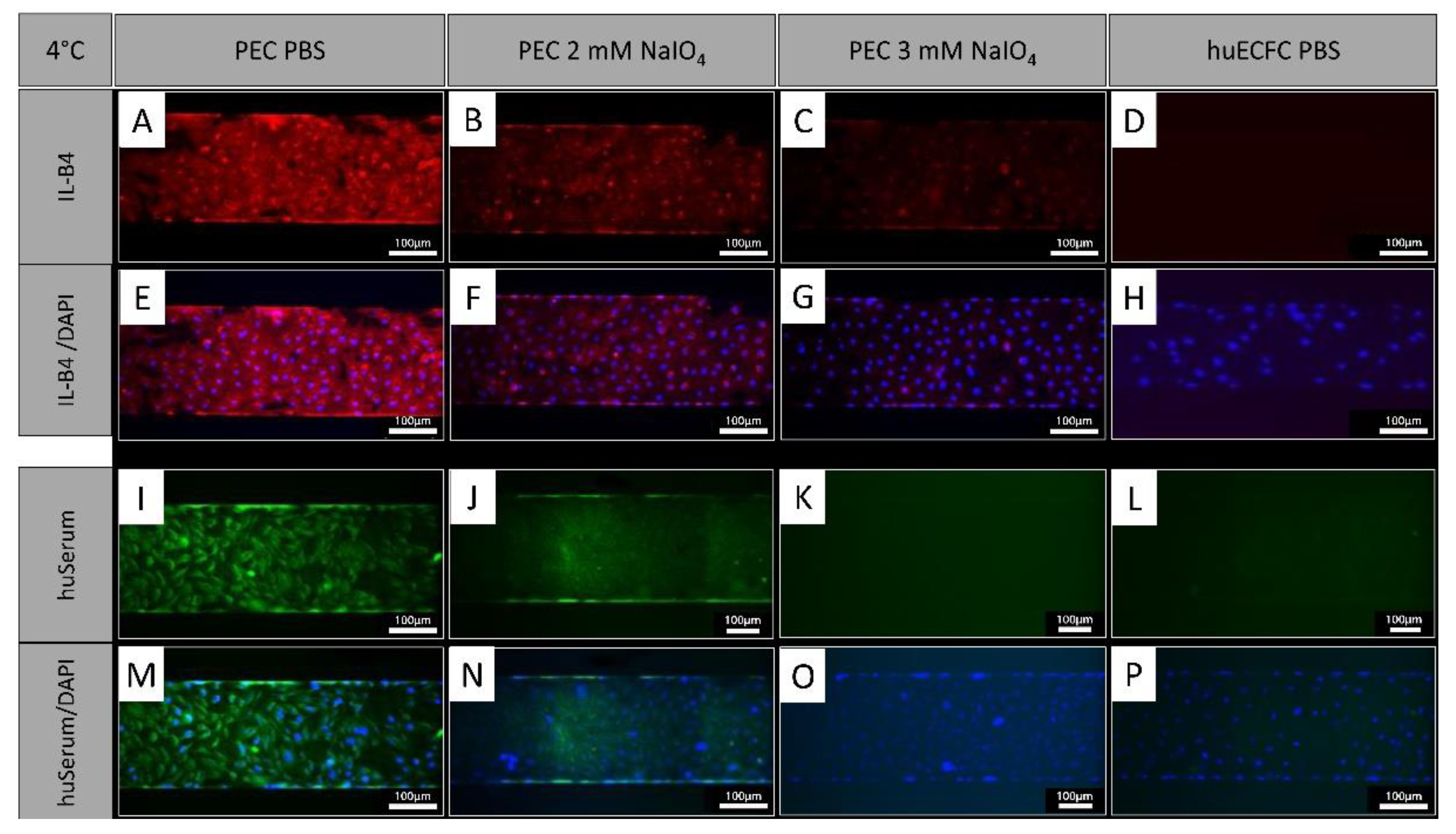 Preprints 108247 g005