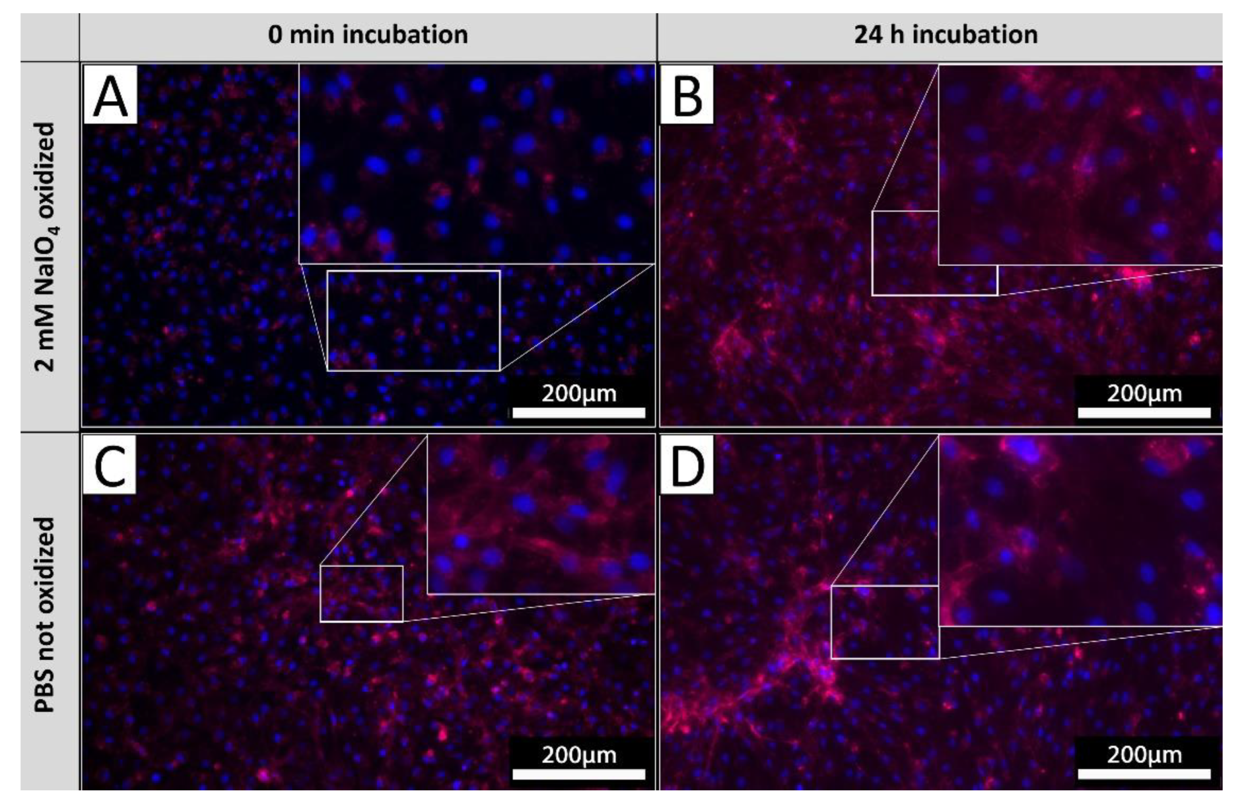 Preprints 108247 g006