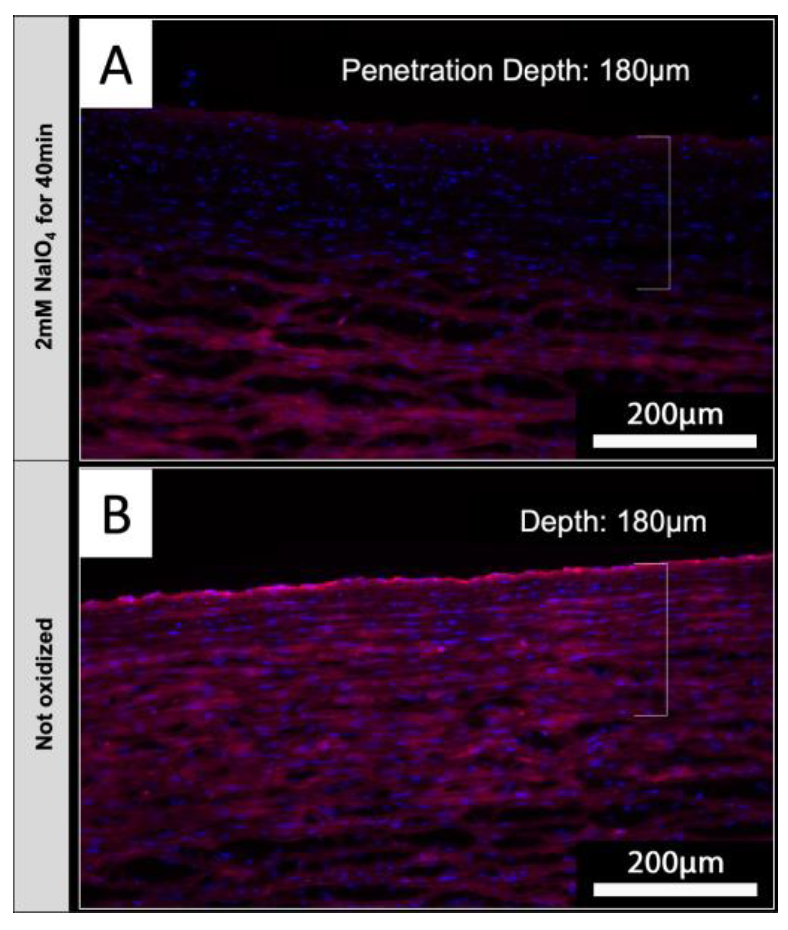 Preprints 108247 g007